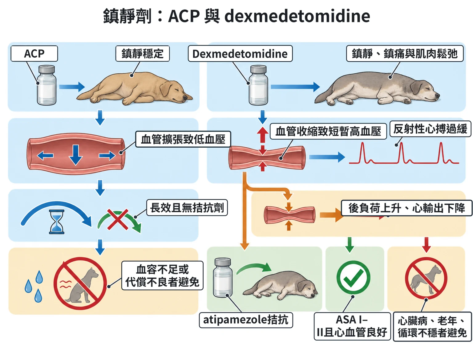 鎮靜劑:ACP 與 dexmedetomidine教學插圖