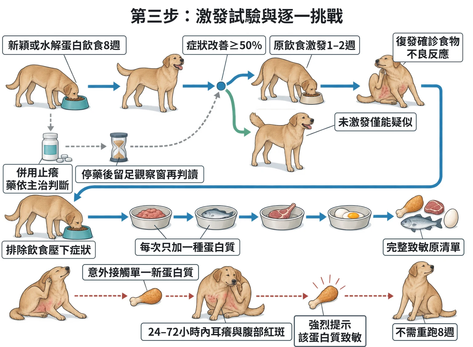 第三步:激發試驗與逐一挑戰教學插圖