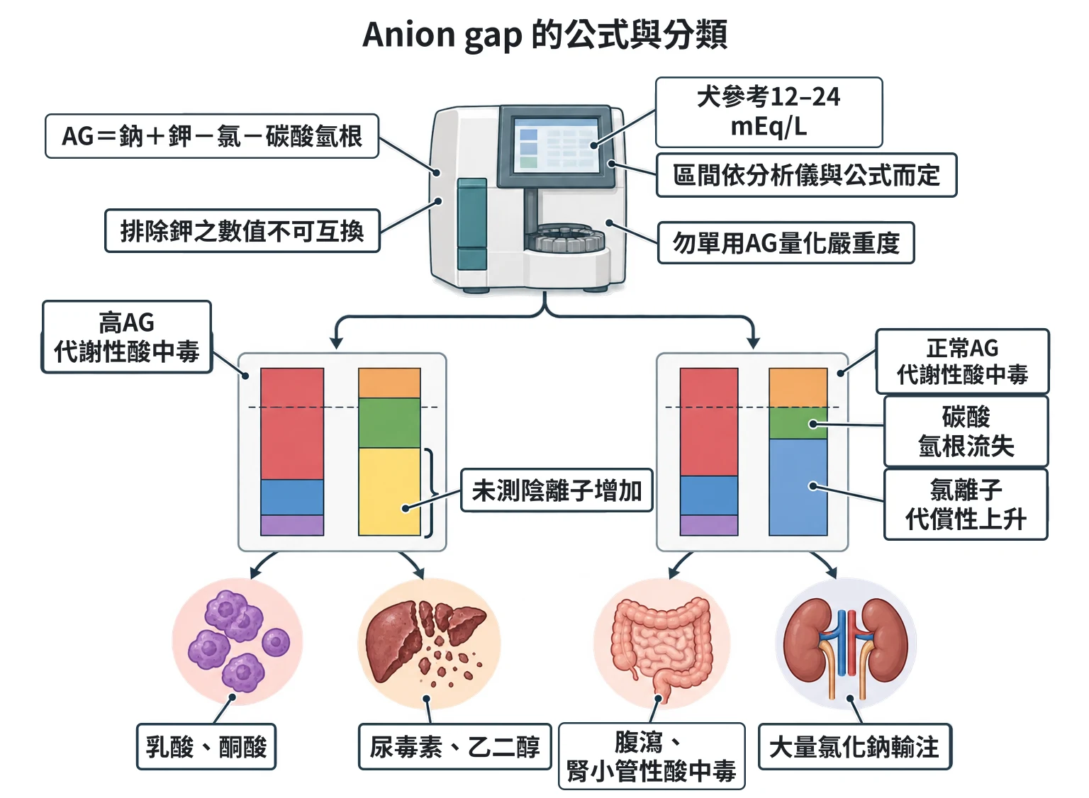 Anion gap 的公式與分類教學插圖