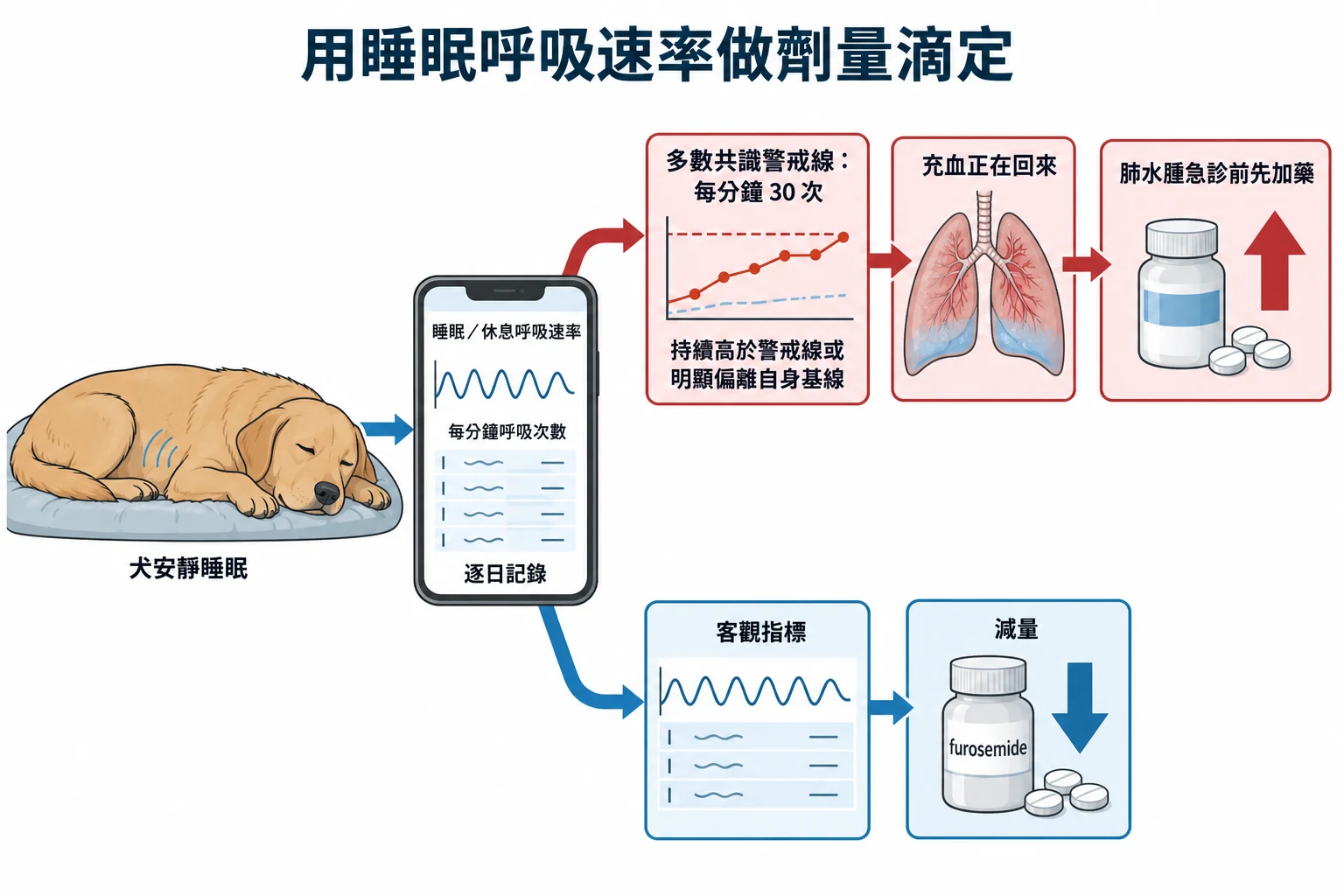用睡眠呼吸速率做劑量滴定教學插圖