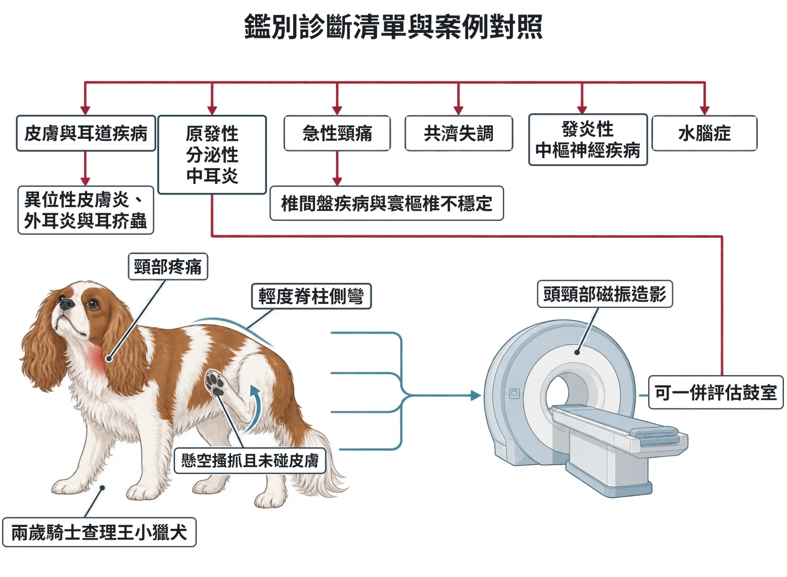 鑑別診斷清單與案例對照教學插圖