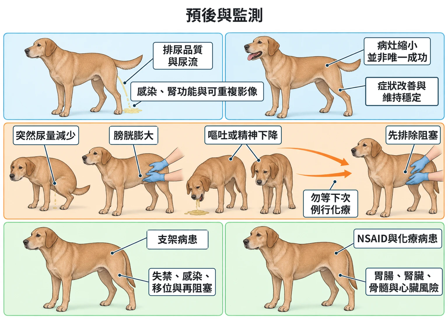預後與監測教學插圖