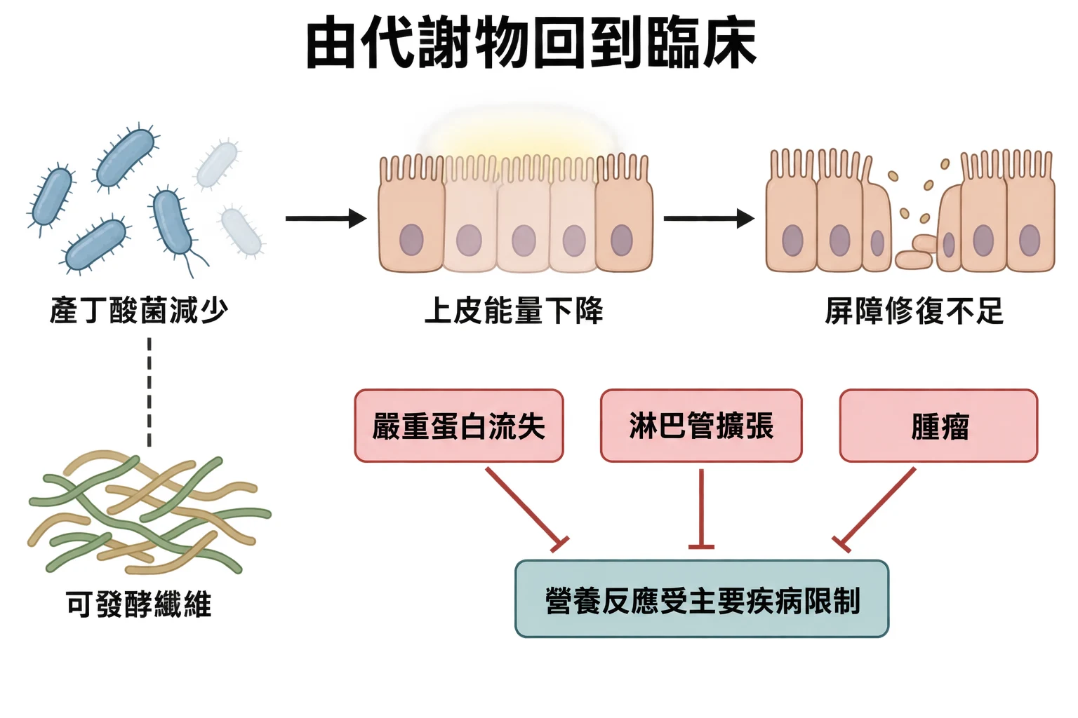 由代謝物回到臨床教學插圖