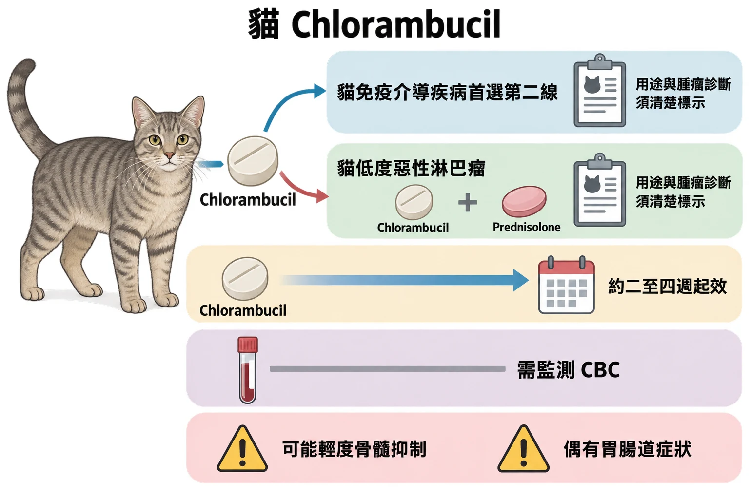 貓 Chlorambucil教學插圖
