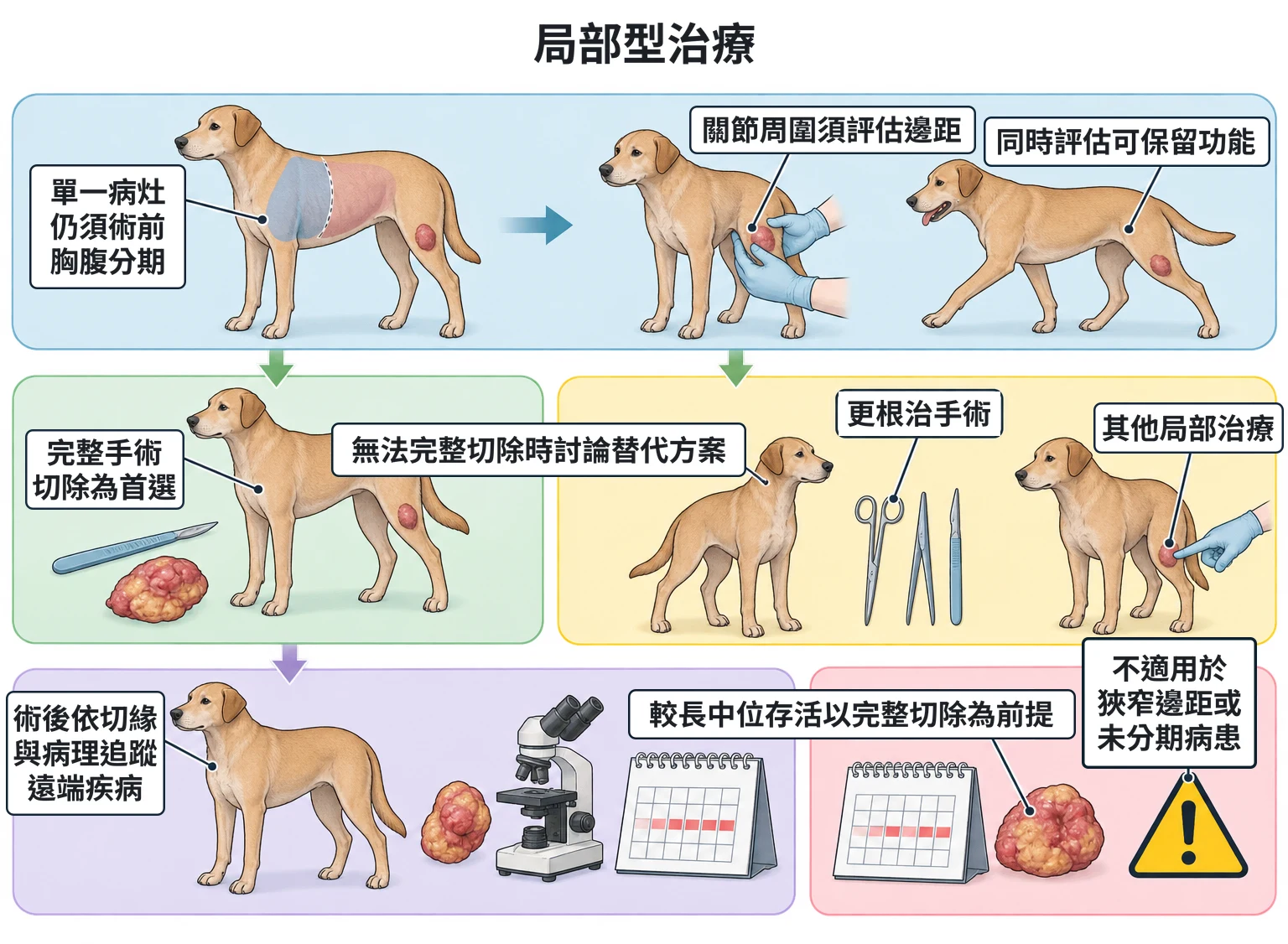 局部型治療教學插圖