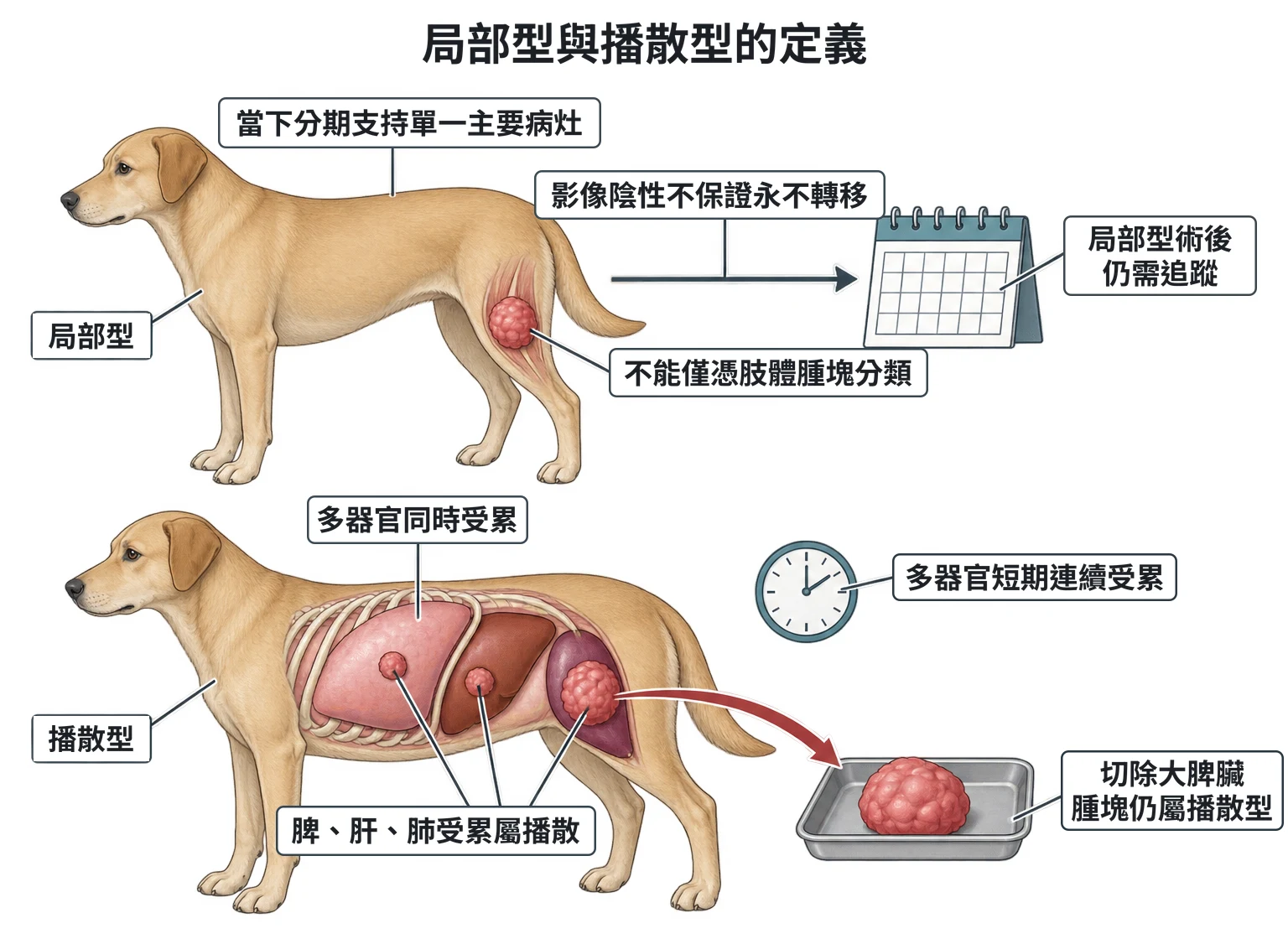 局部型與播散型的定義教學插圖