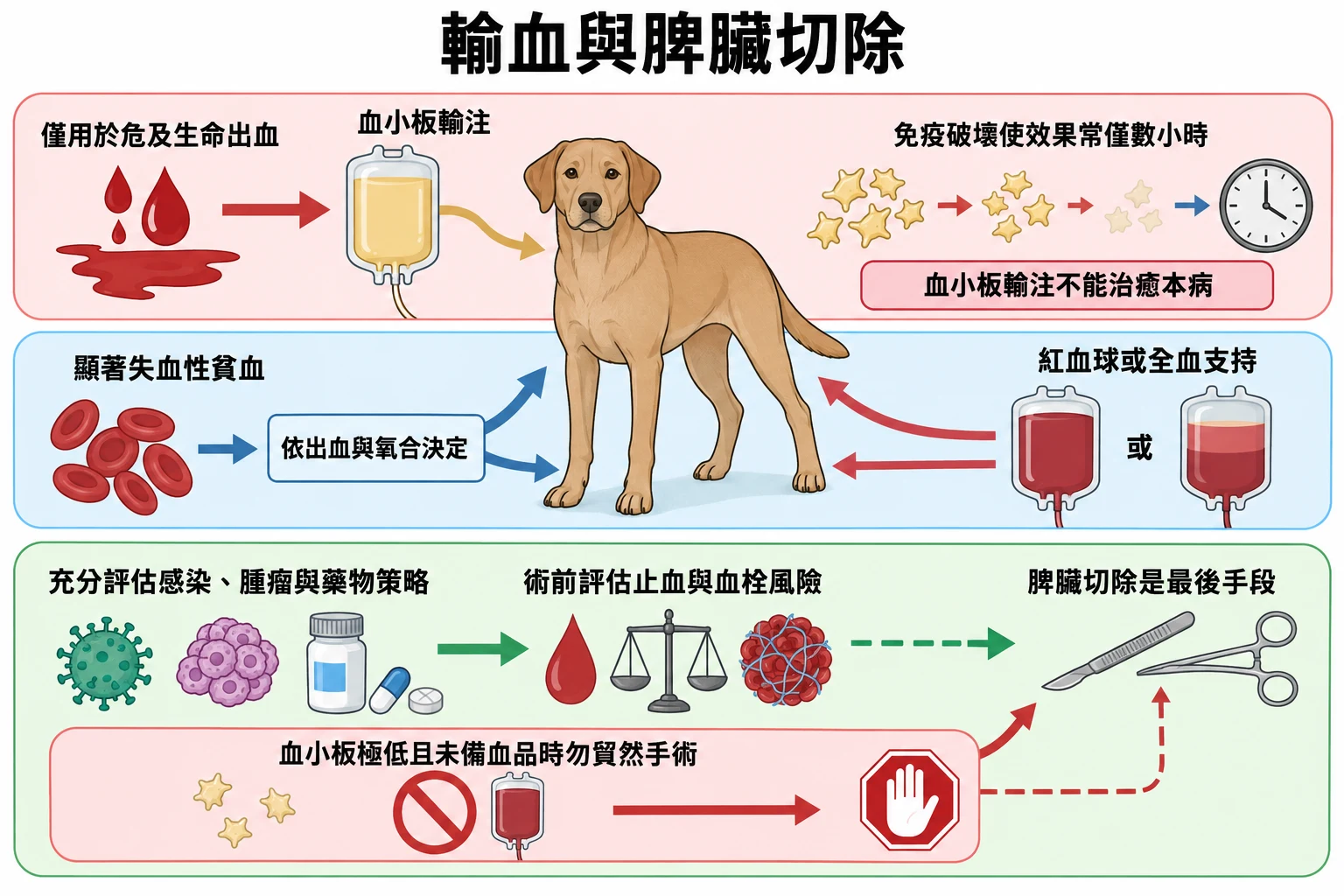 輸血與脾臟切除教學插圖