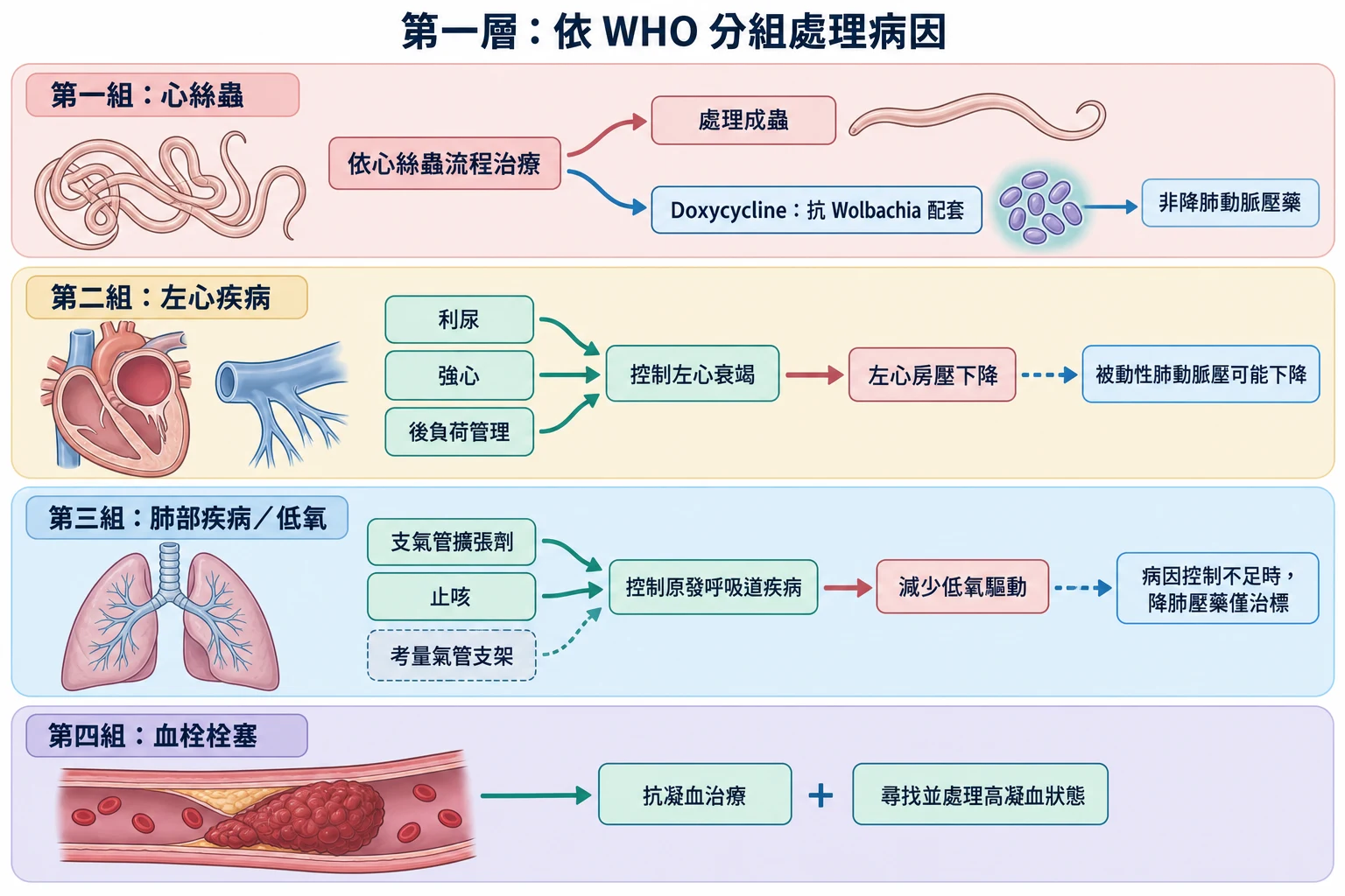 第一層:依 WHO 分組處理病因教學插圖
