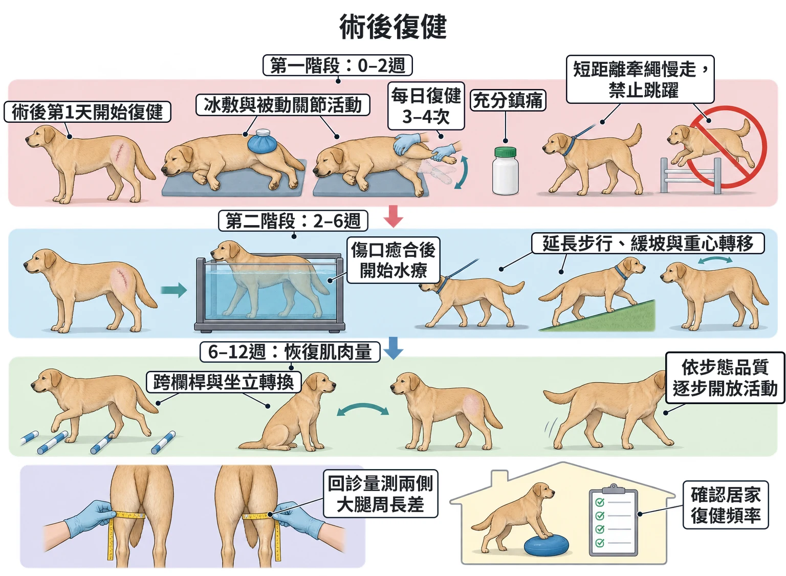 術後復健教學插圖