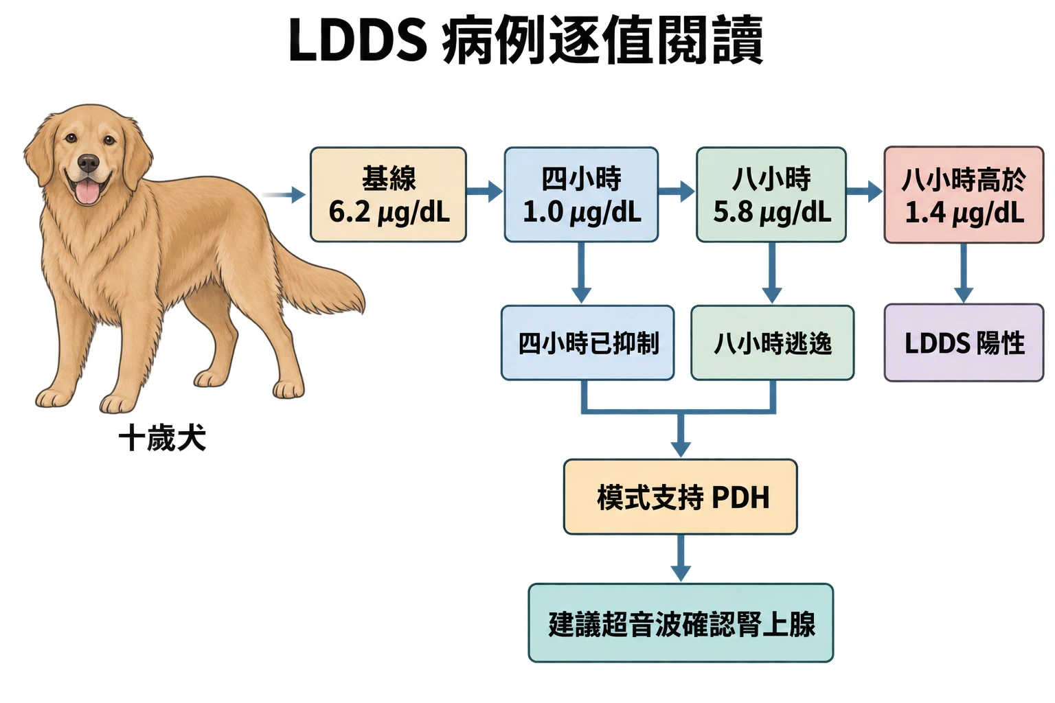 LDDS 病例逐值閱讀教學插圖