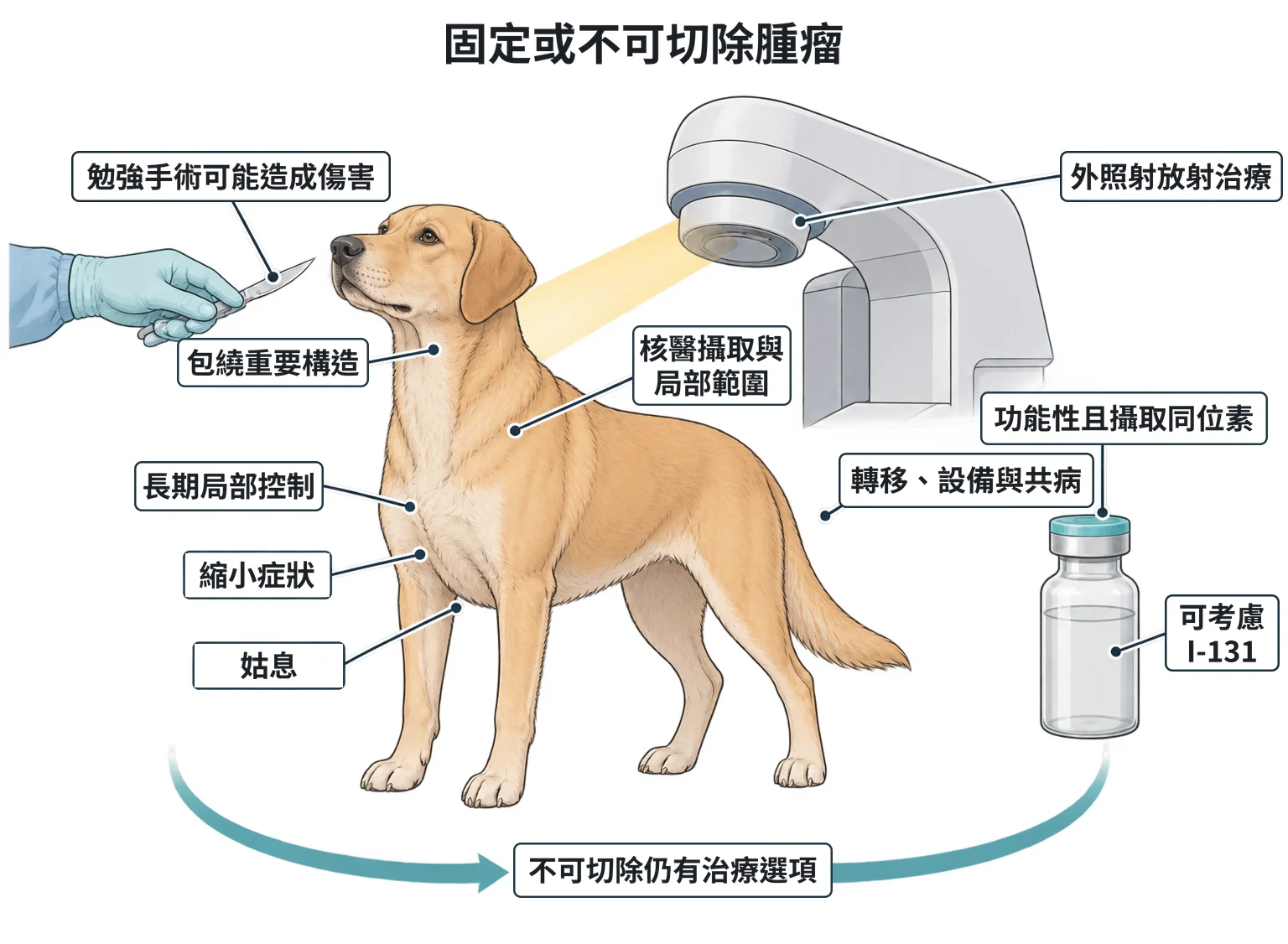 固定或不可切除腫瘤教學插圖