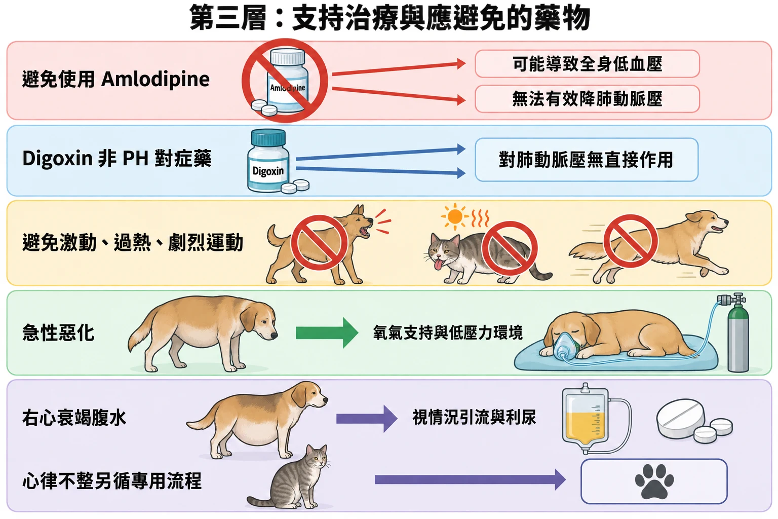 第三層:支持治療與應避免的藥物教學插圖