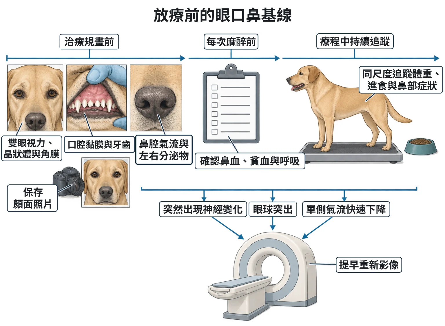 放療前的眼口鼻基線教學插圖