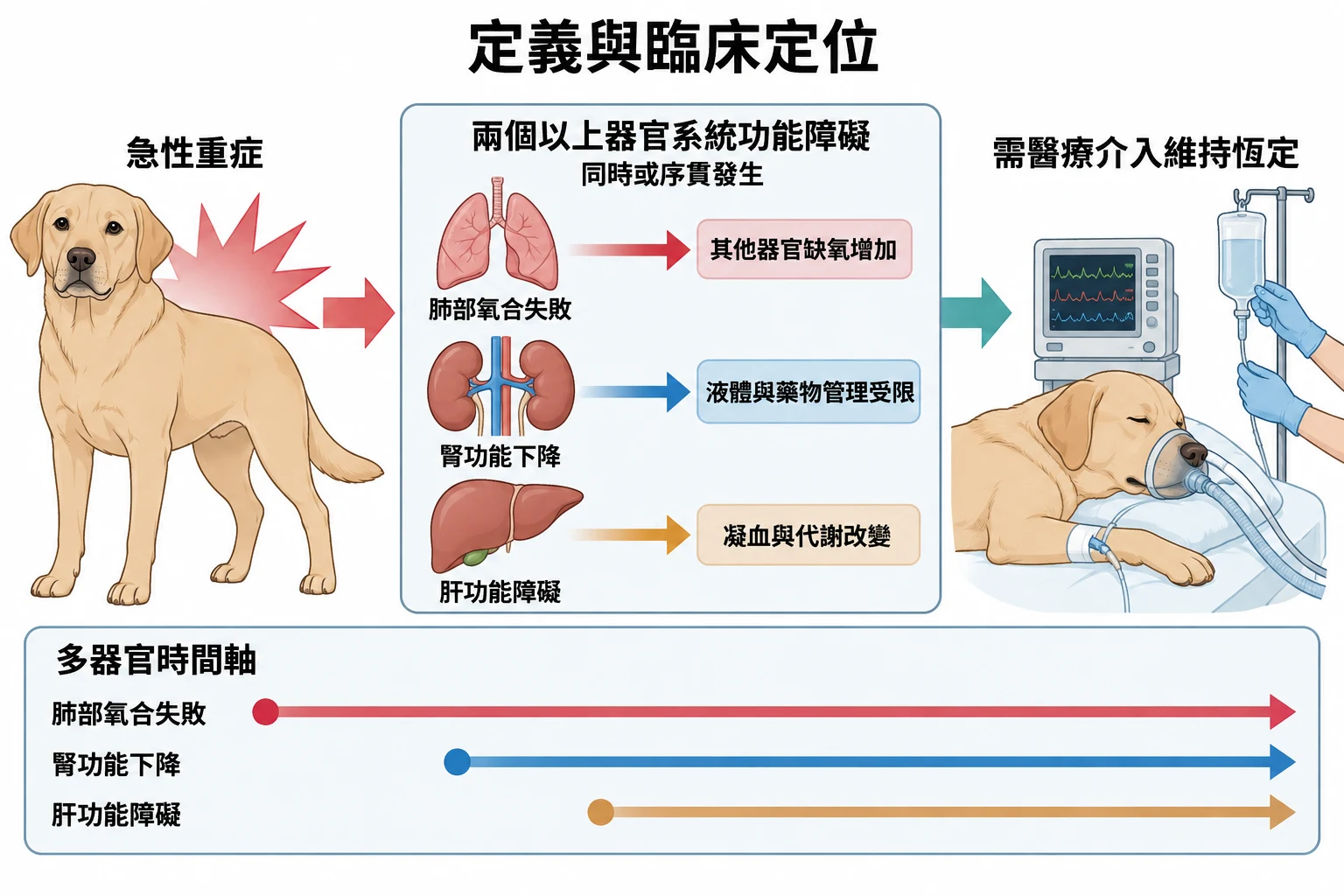 定義與臨床定位教學插圖