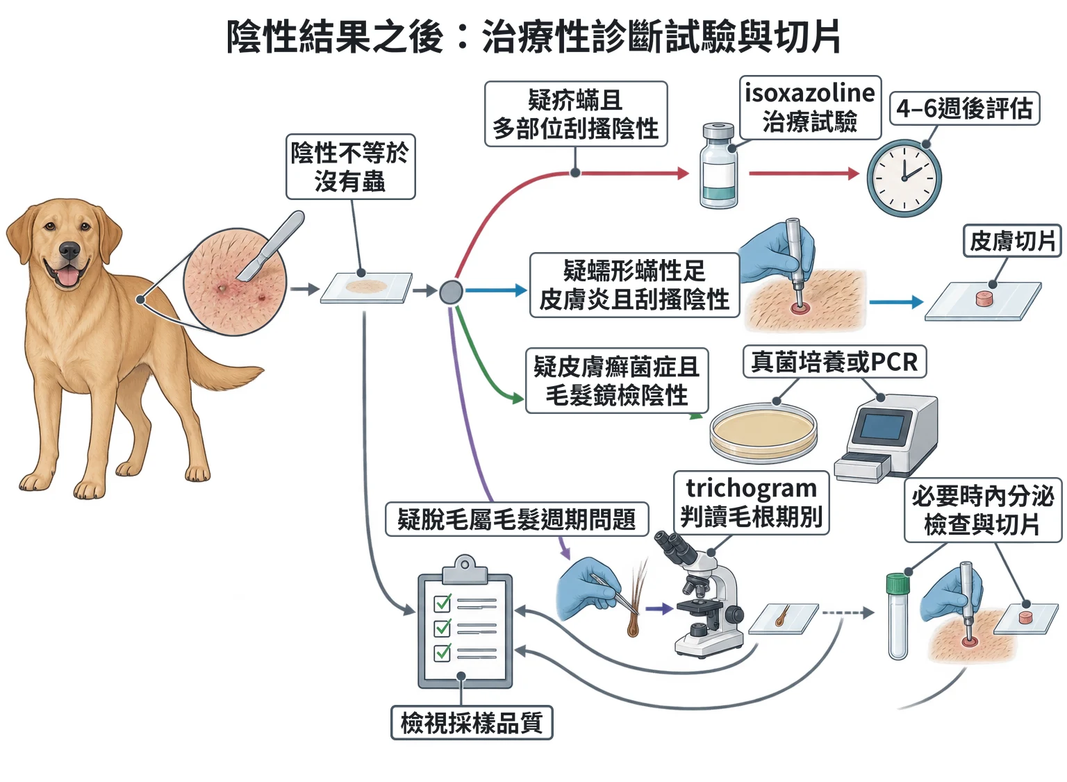 陰性結果之後:治療性診斷試驗與切片教學插圖