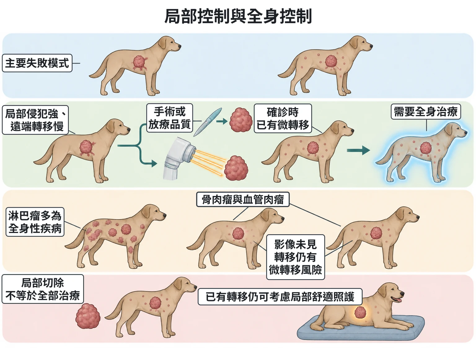 局部控制與全身控制教學插圖