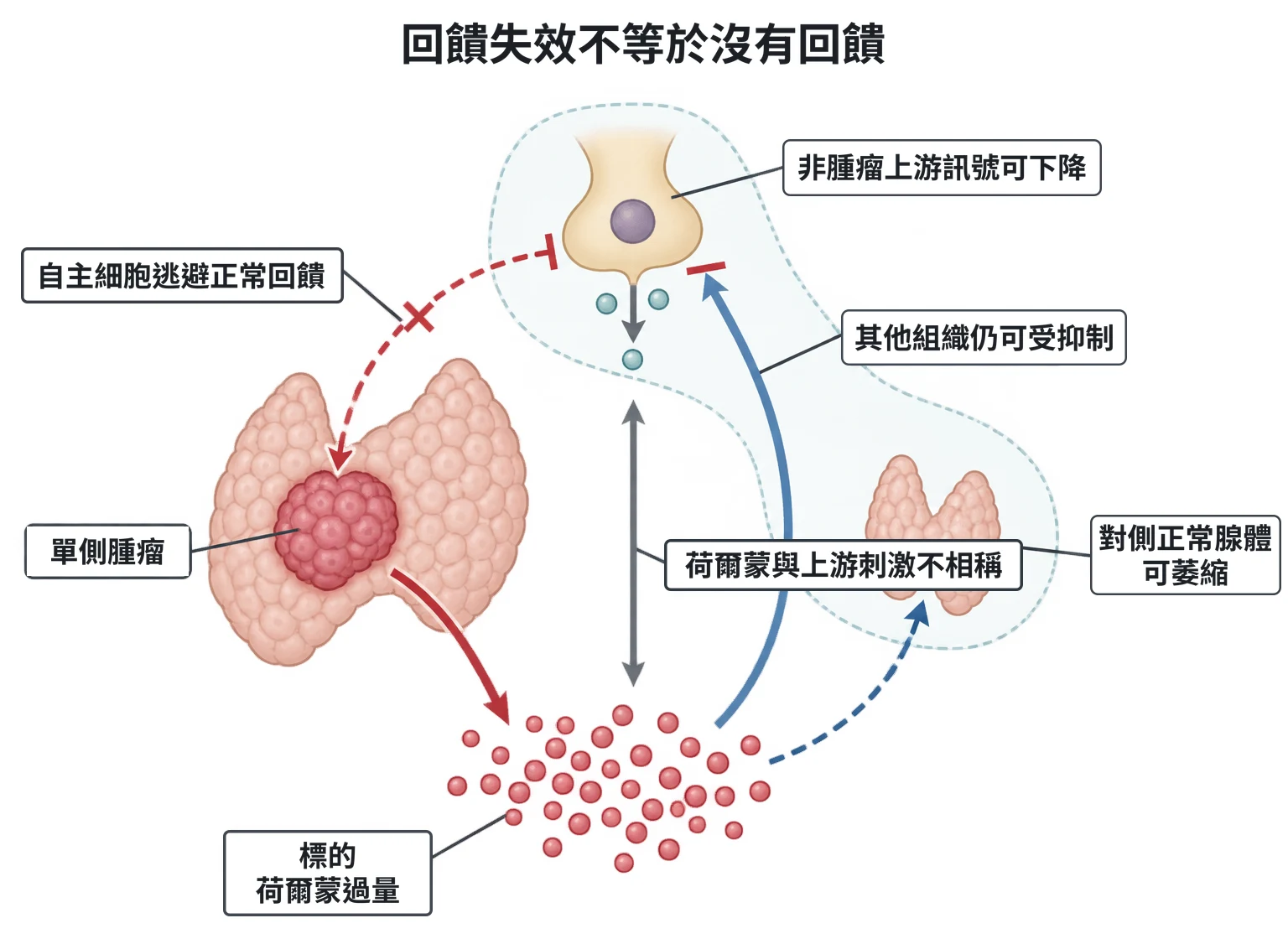 回饋失效不等於沒有回饋教學插圖