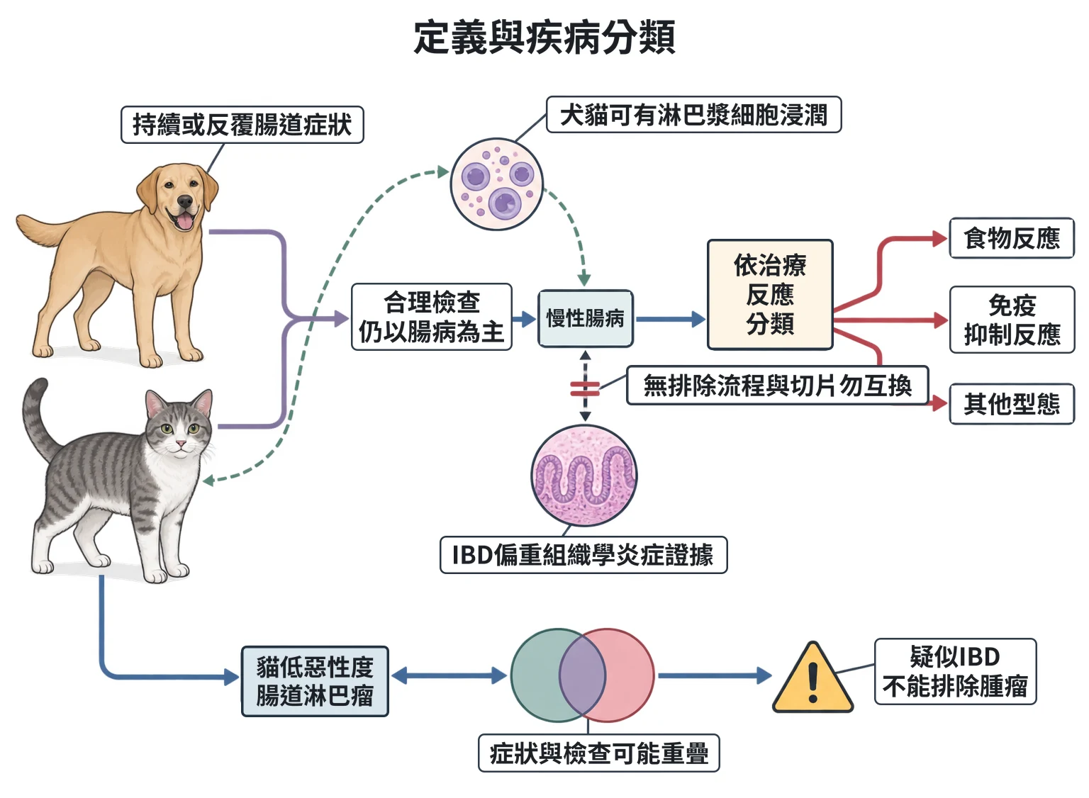 定義與疾病分類教學插圖