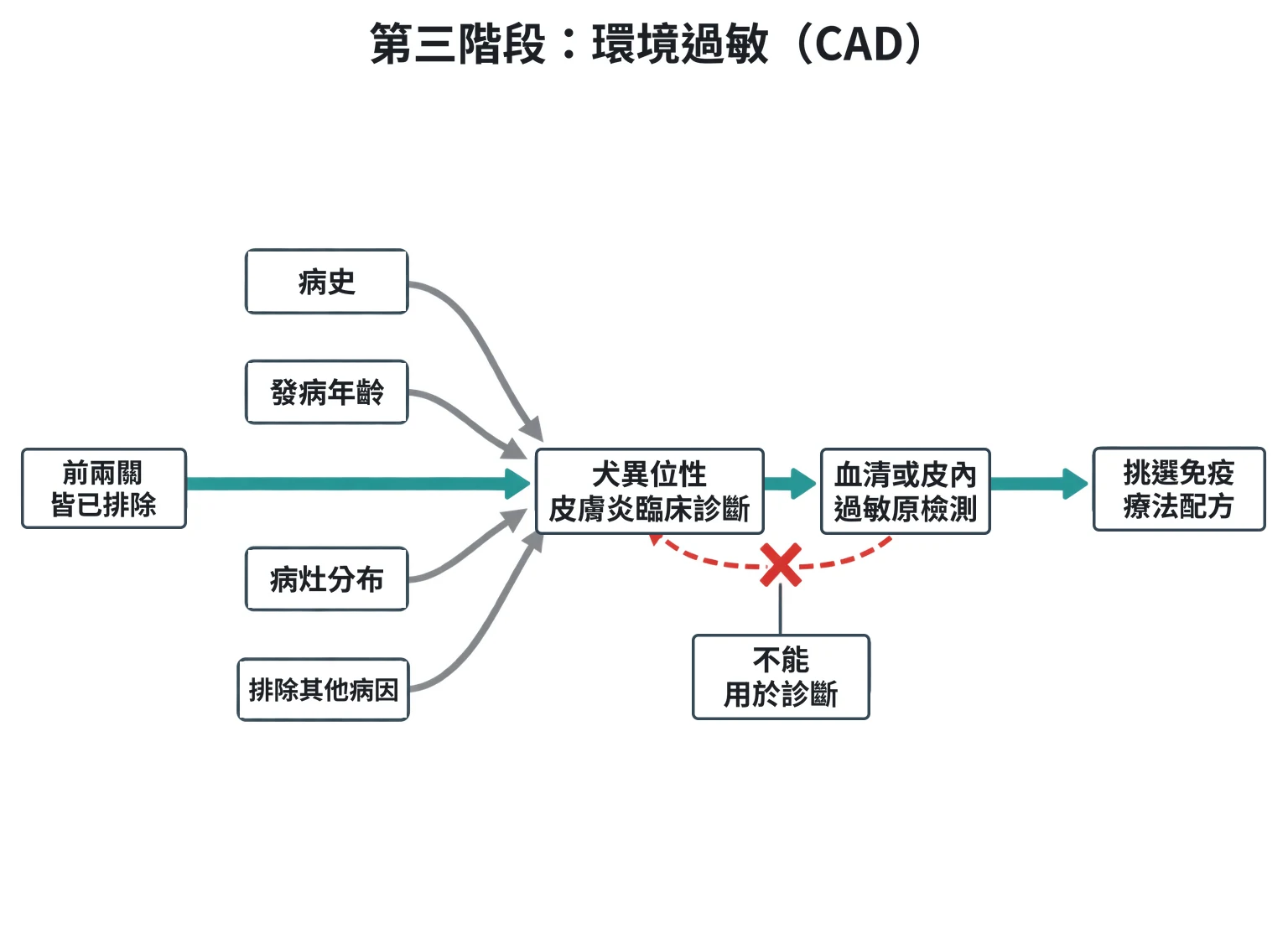 第三階段:環境過敏(CAD)教學插圖