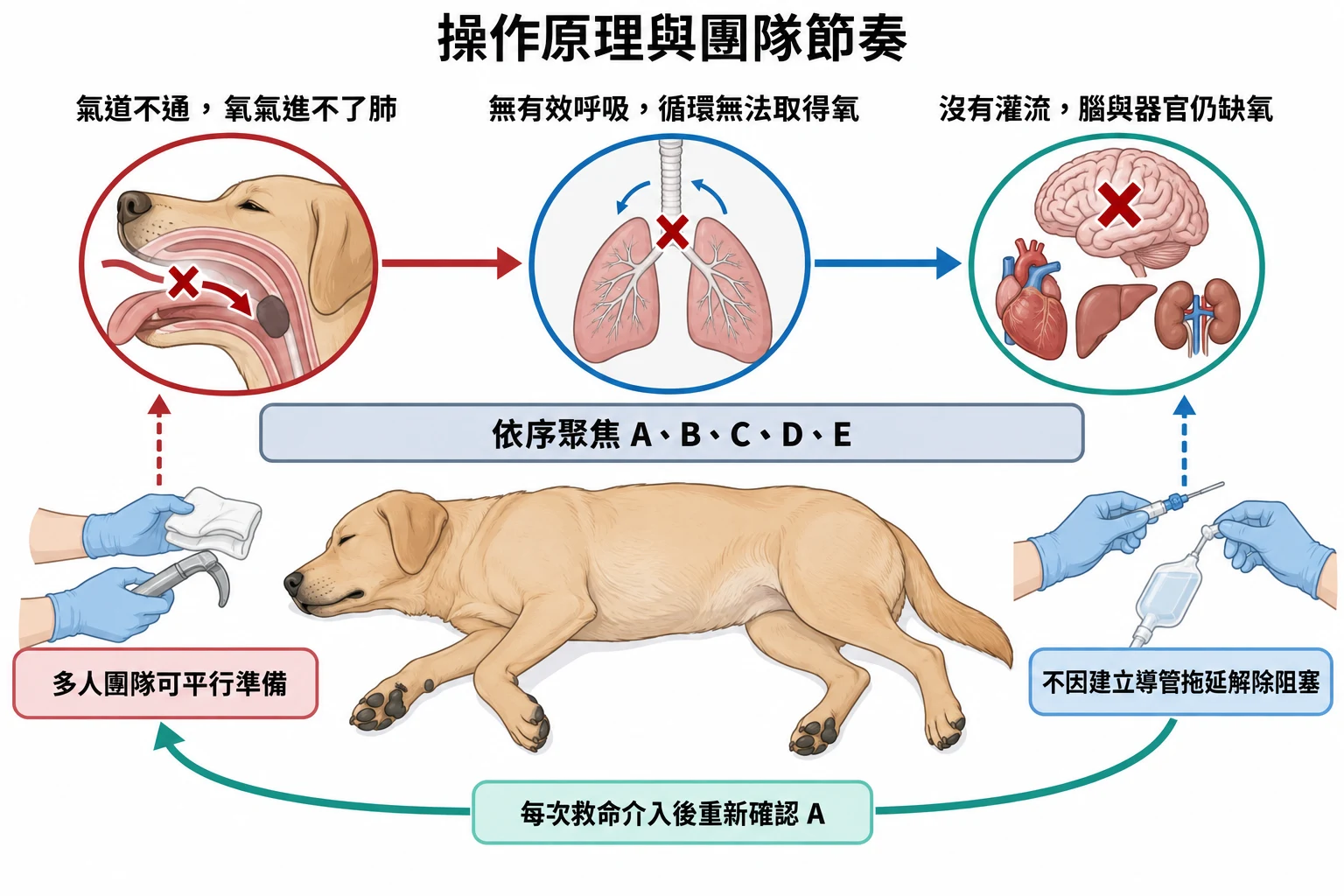 操作原理與團隊節奏教學插圖