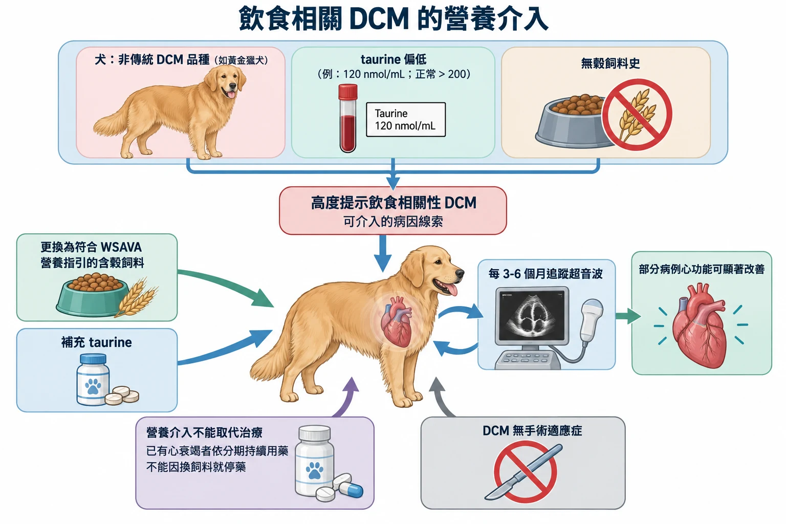飲食相關 DCM 的營養介入教學插圖