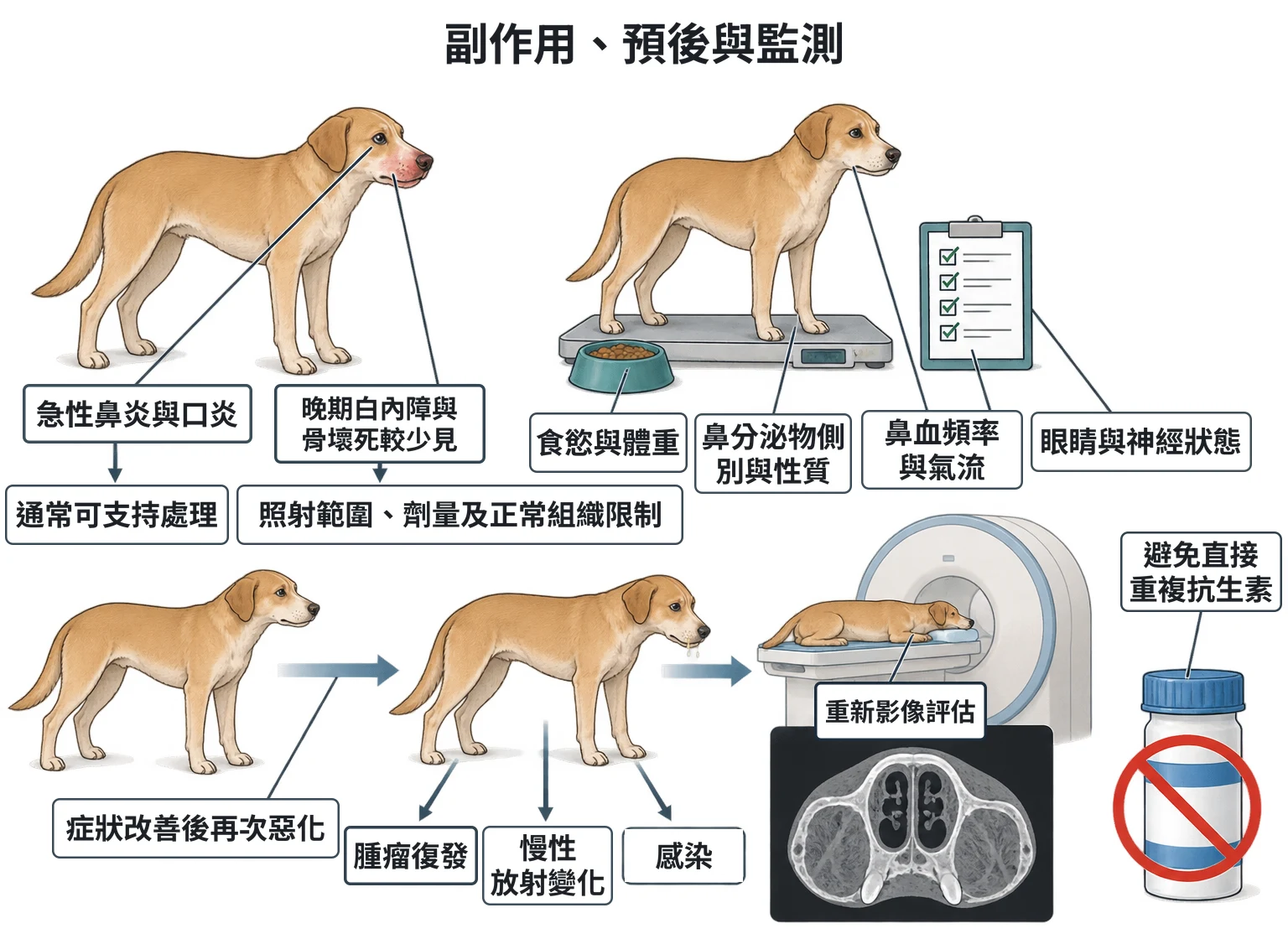 副作用、預後與監測教學插圖