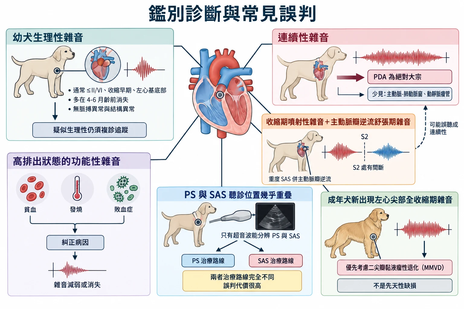 鑑別診斷與常見誤判教學插圖