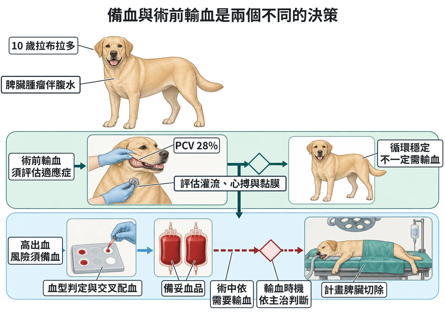 備血與術前輸血是兩個不同的決策教學插圖