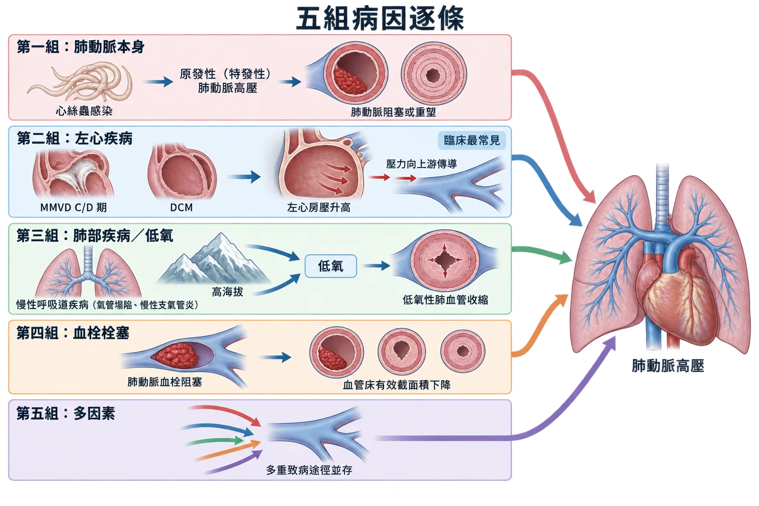 五組病因逐條教學插圖