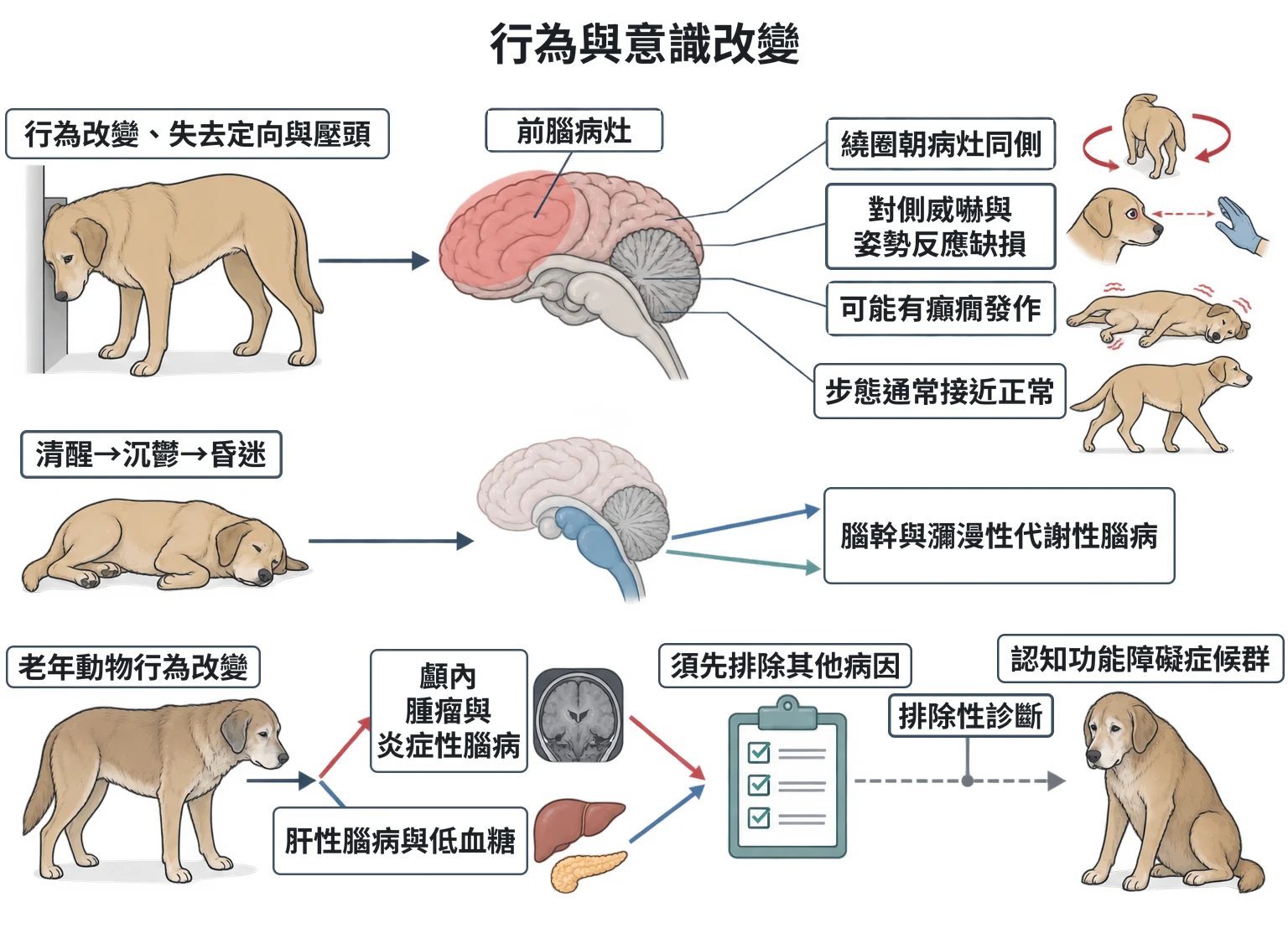 行為與意識改變教學插圖