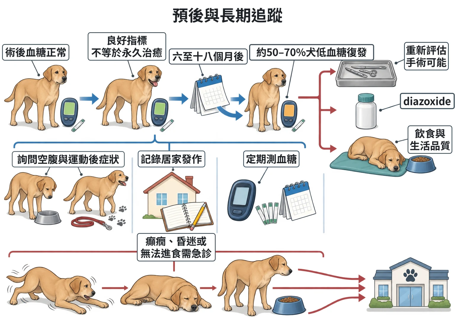 預後與長期追蹤教學插圖