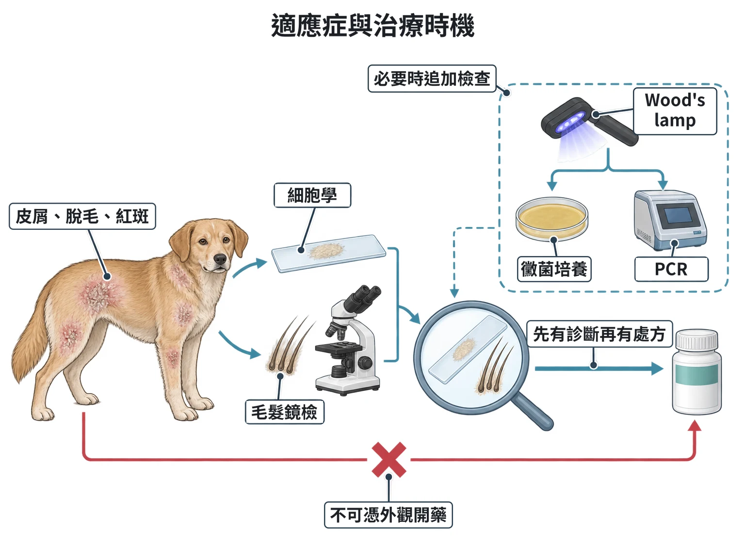 適應症與治療時機教學插圖