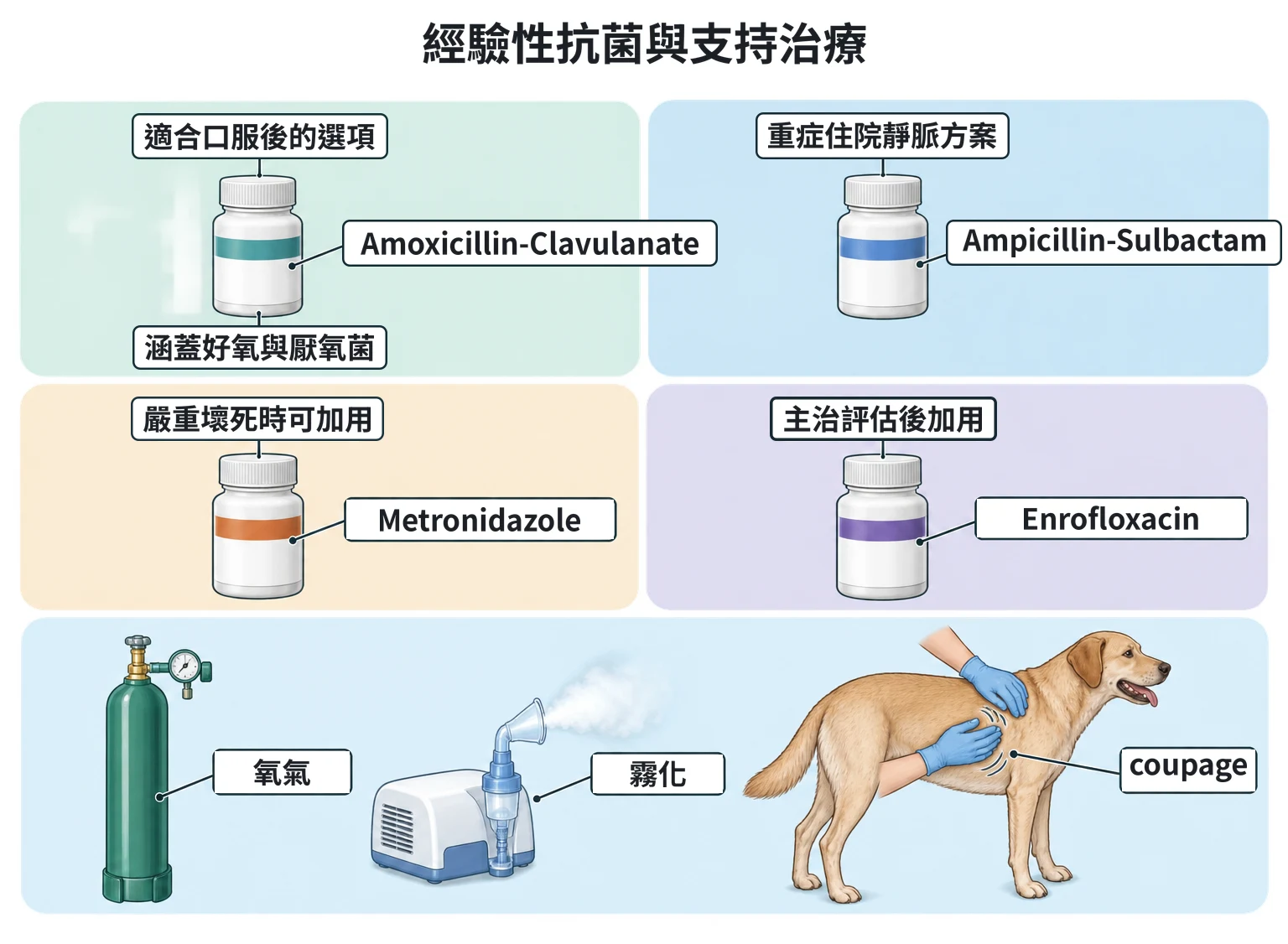 經驗性抗菌與支持治療教學插圖