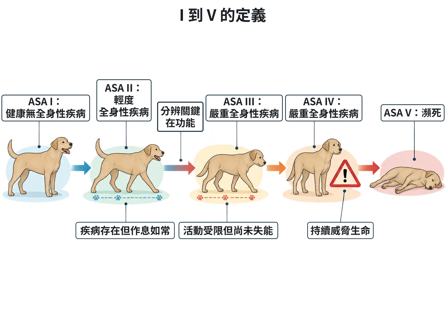 I 到 V 的定義教學插圖