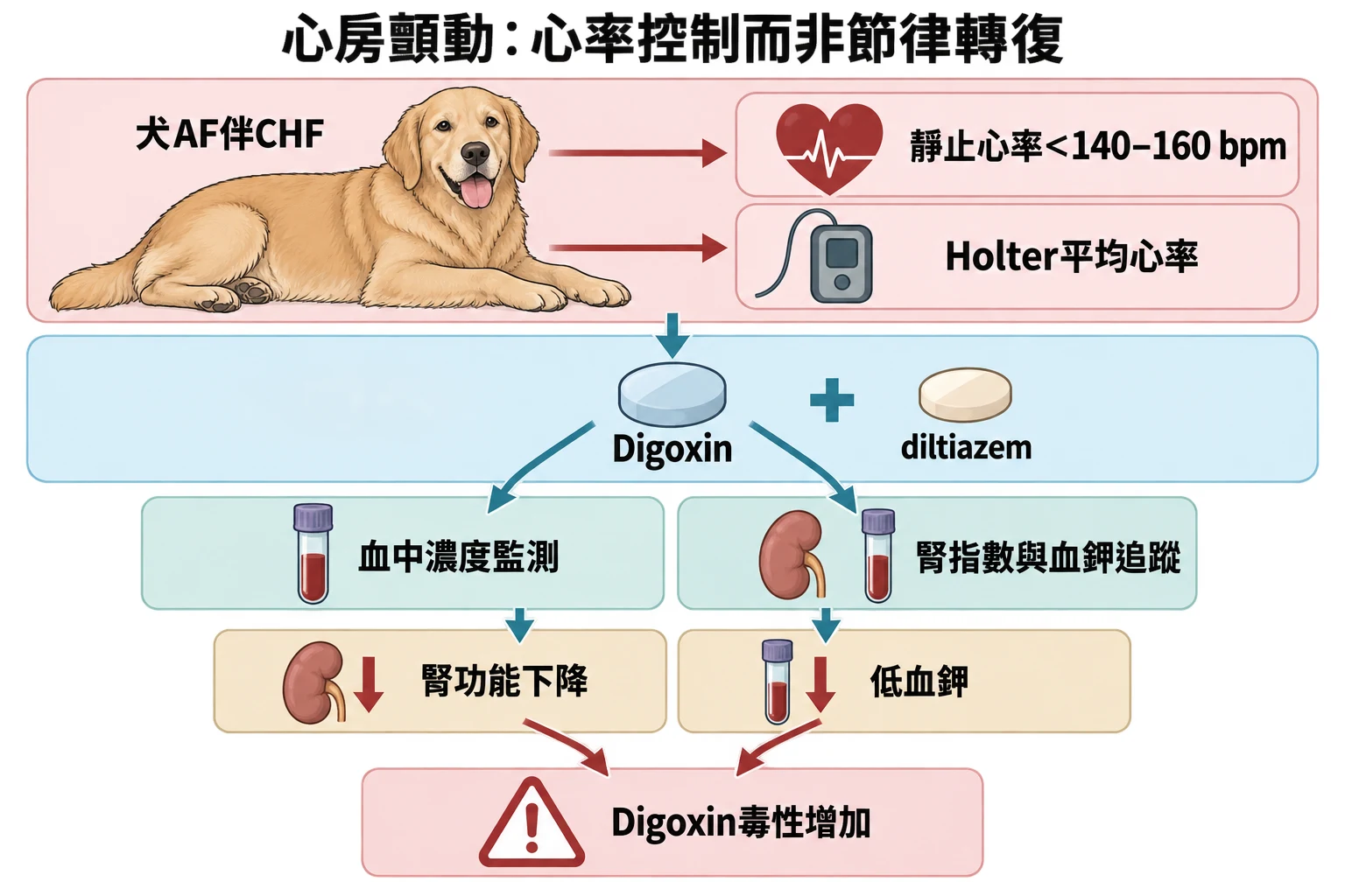 心房顫動:心率控制而非節律轉復教學插圖