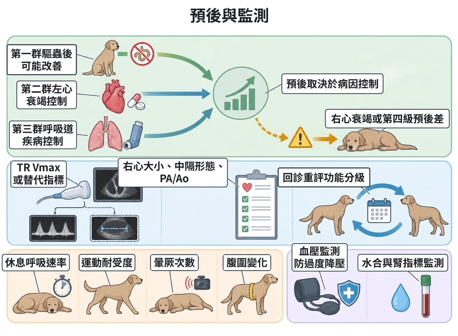 預後與監測教學插圖