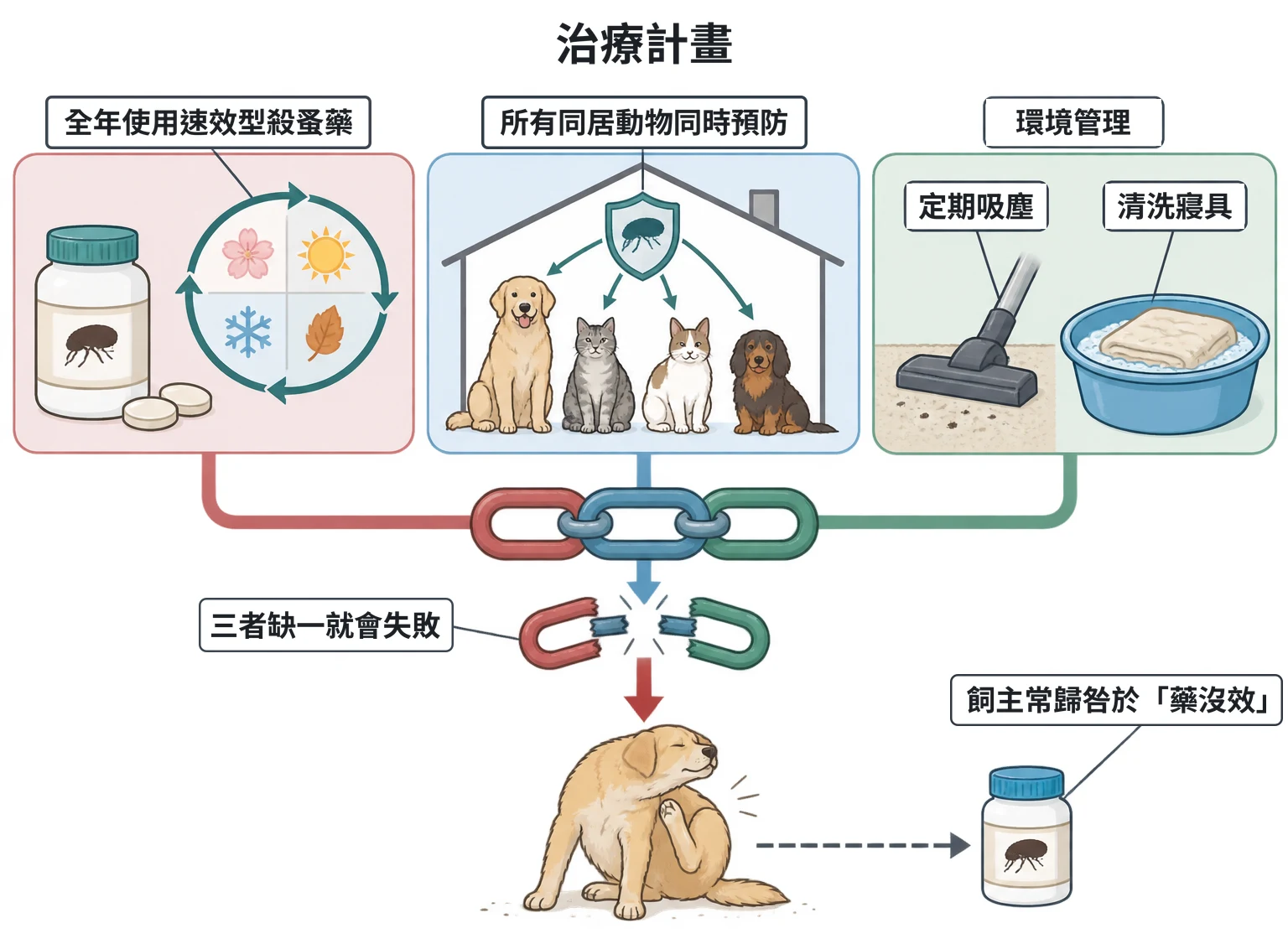 治療計畫教學插圖