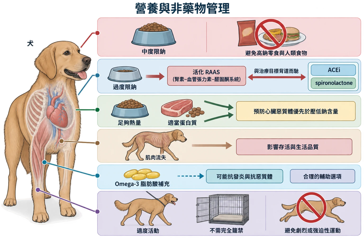營養與非藥物管理教學插圖