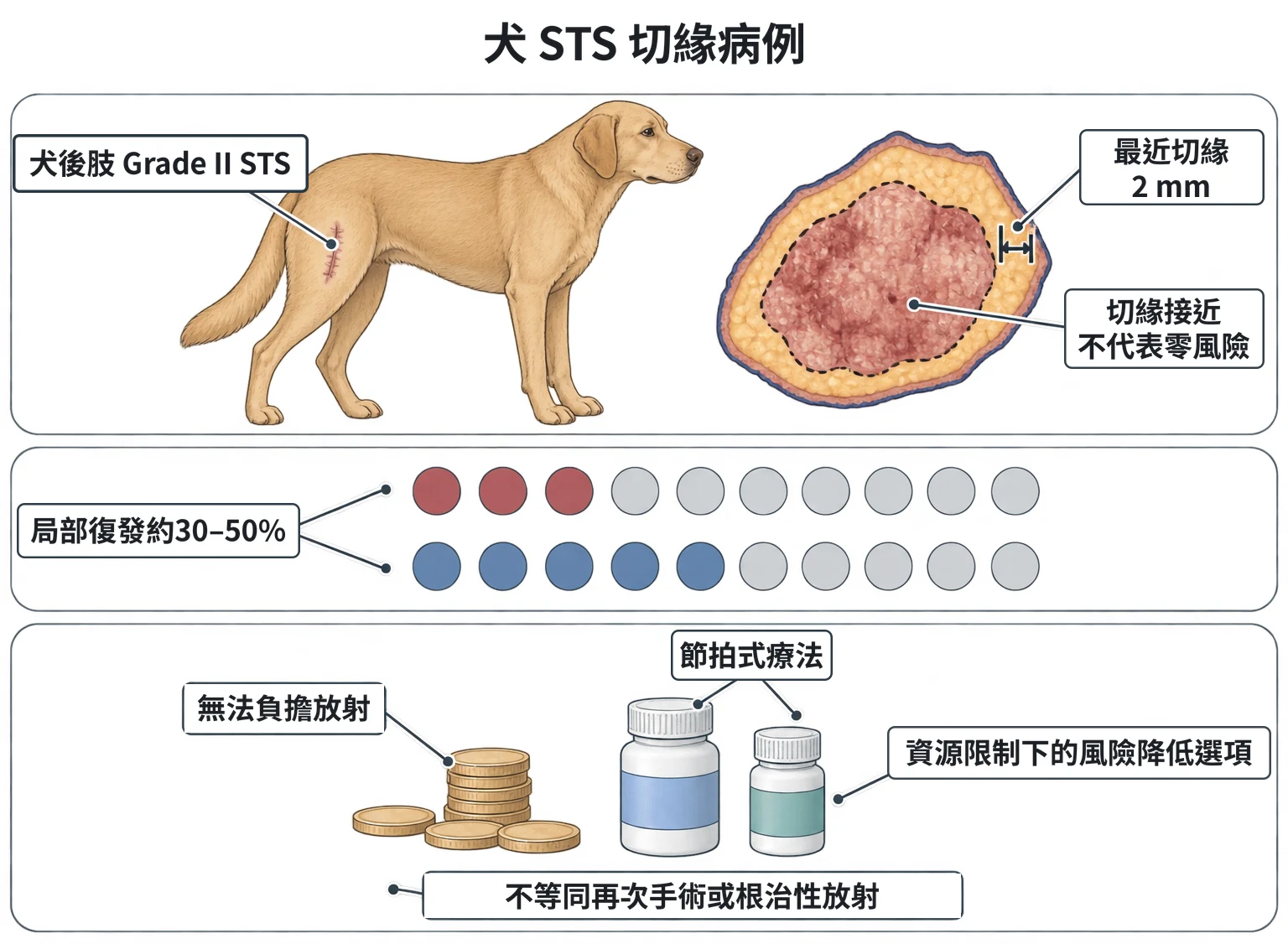 犬 STS 切緣病例教學插圖
