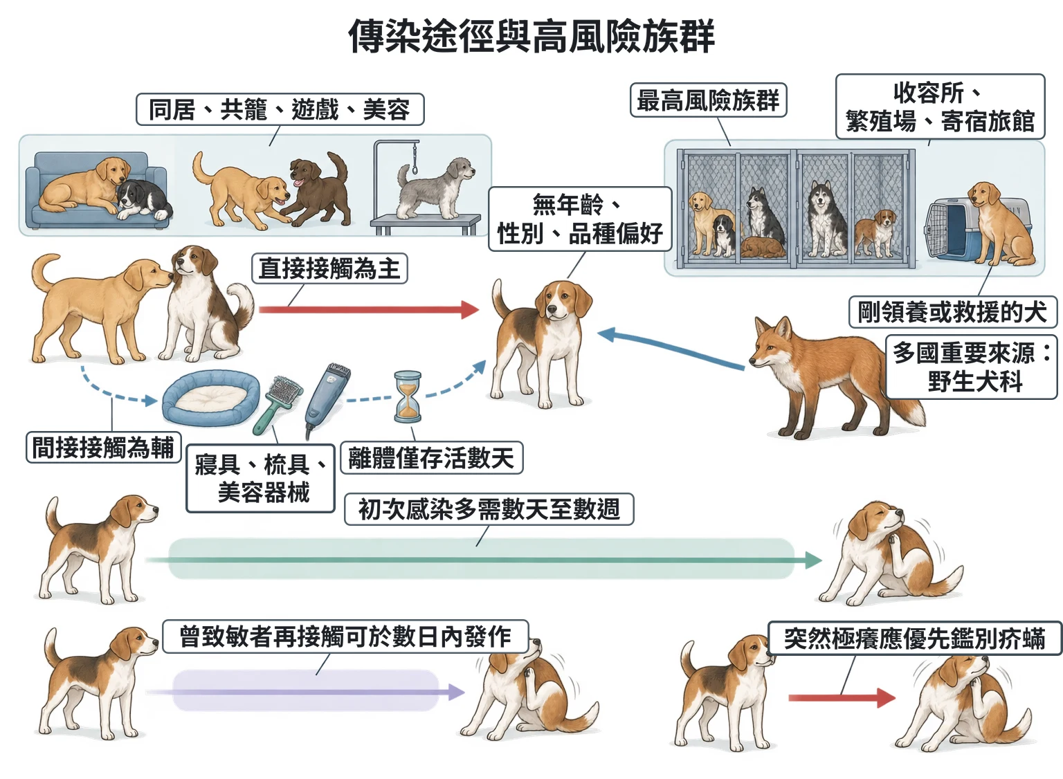 傳染途徑與高風險族群教學插圖