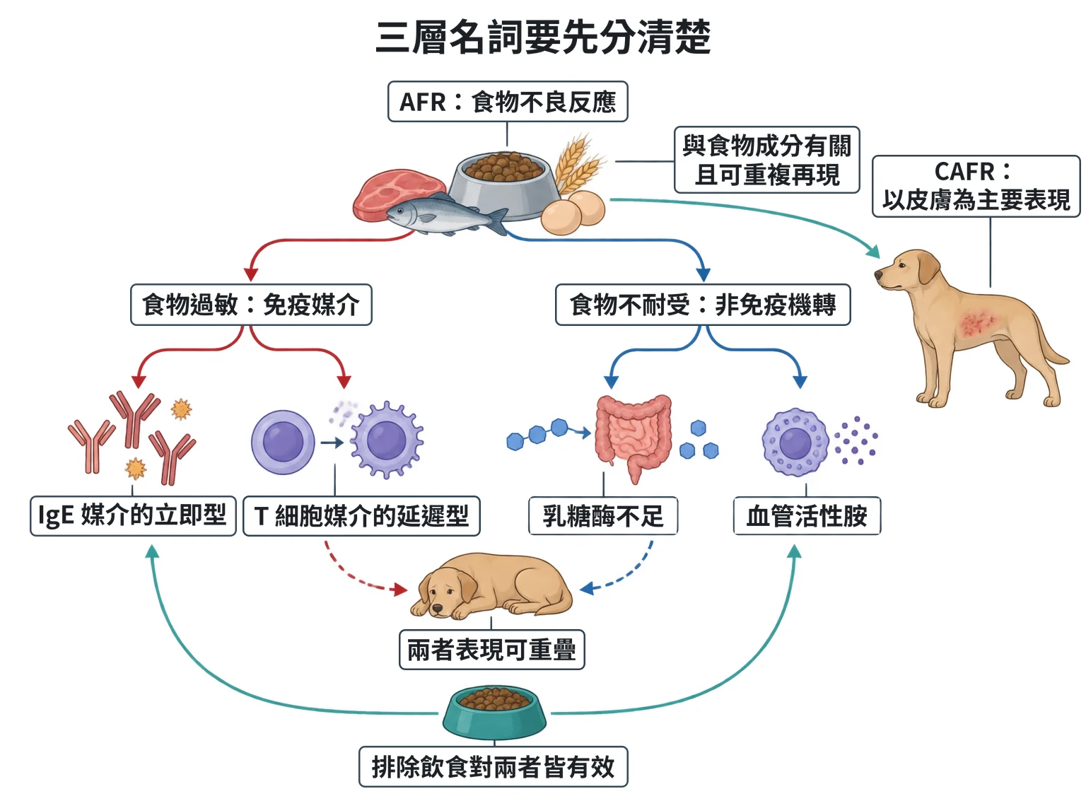 三層名詞要先分清楚教學插圖