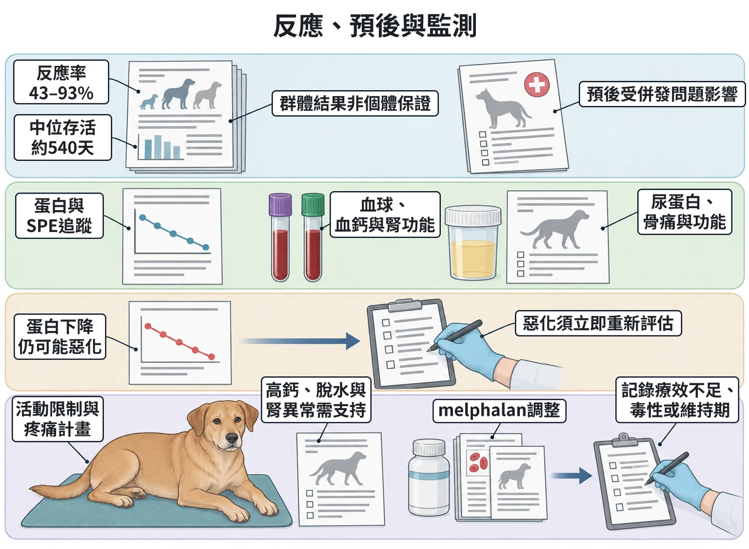 反應、預後與監測教學插圖