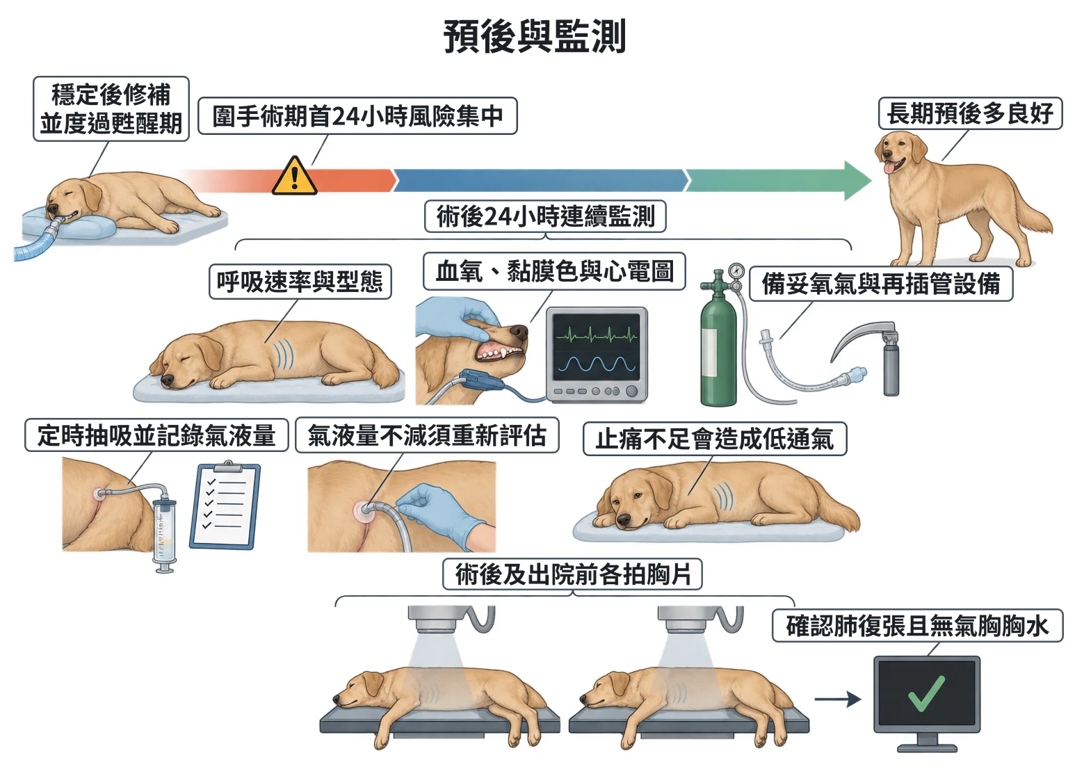預後與監測教學插圖