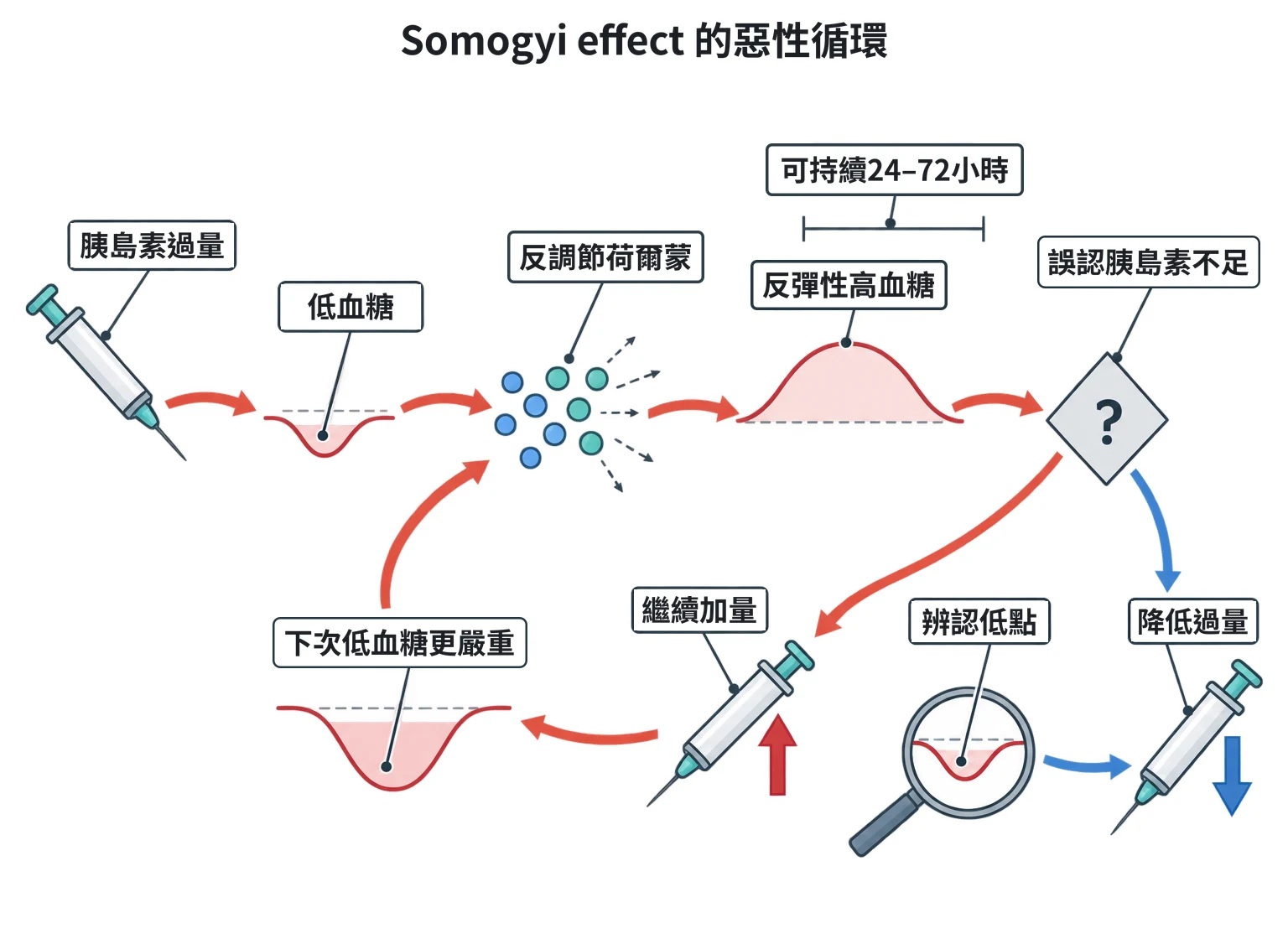 Somogyi effect 的惡性循環教學插圖