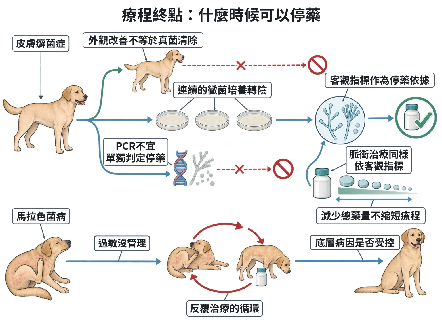 療程終點:什麼時候可以停藥教學插圖