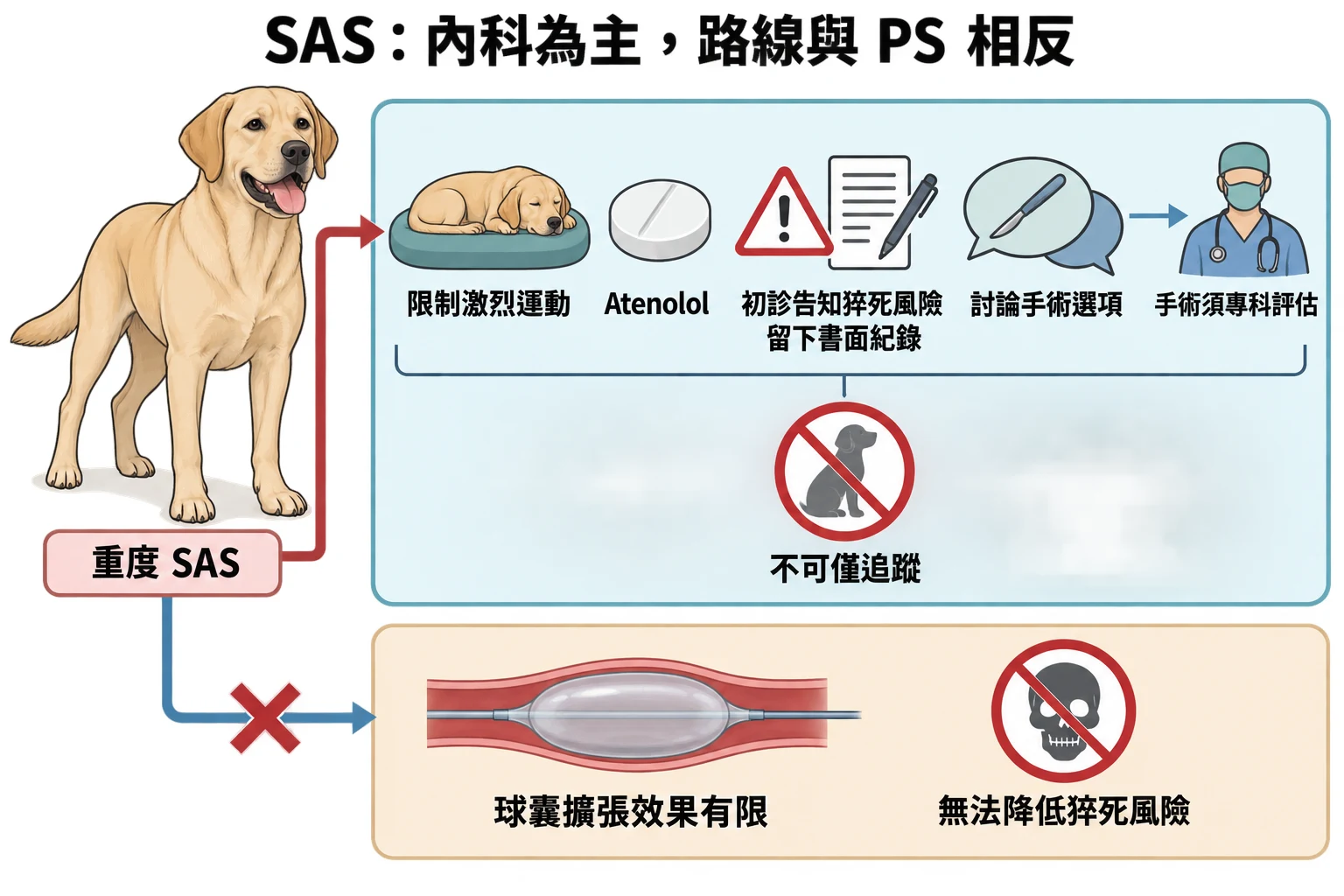 SAS:內科為主,路線與 PS 相反教學插圖