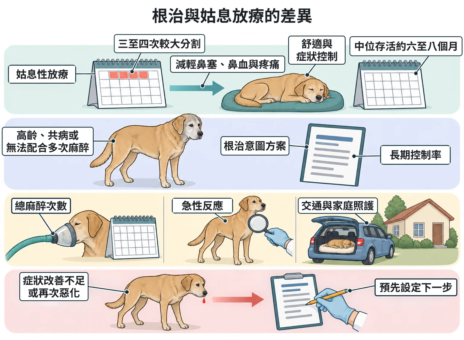 根治與姑息放療的差異教學插圖