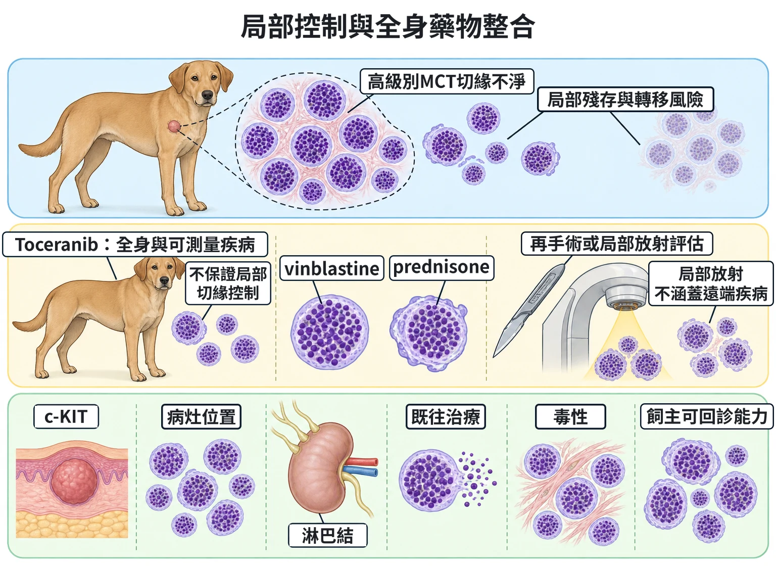 局部控制與全身藥物整合教學插圖