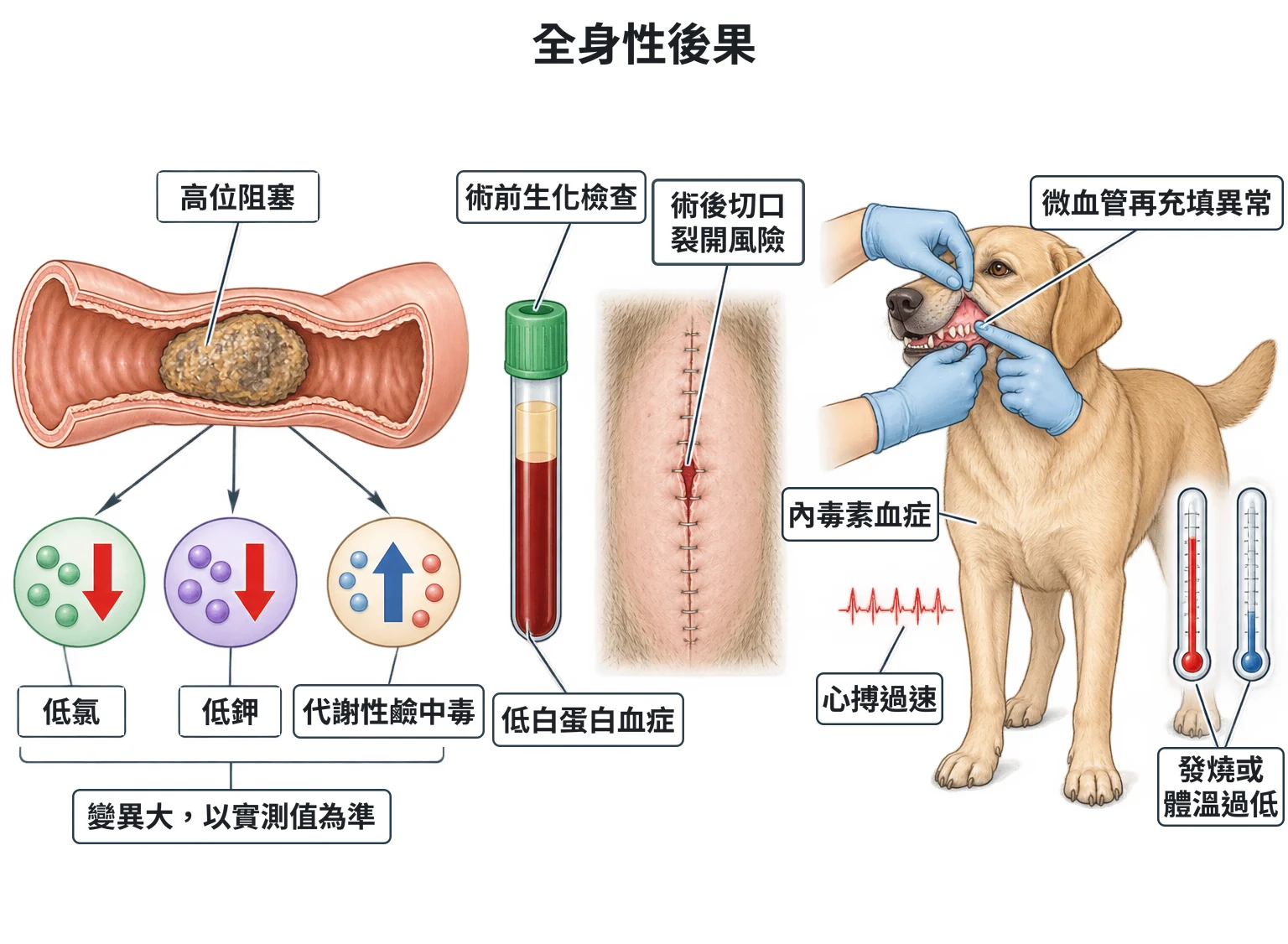 全身性後果教學插圖