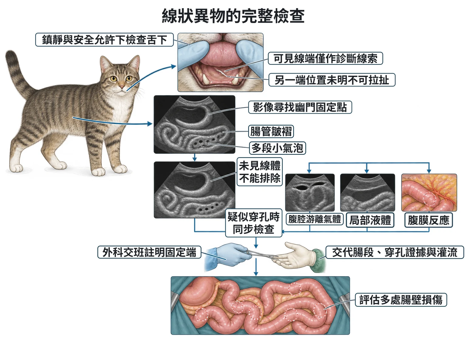 線狀異物的完整檢查教學插圖